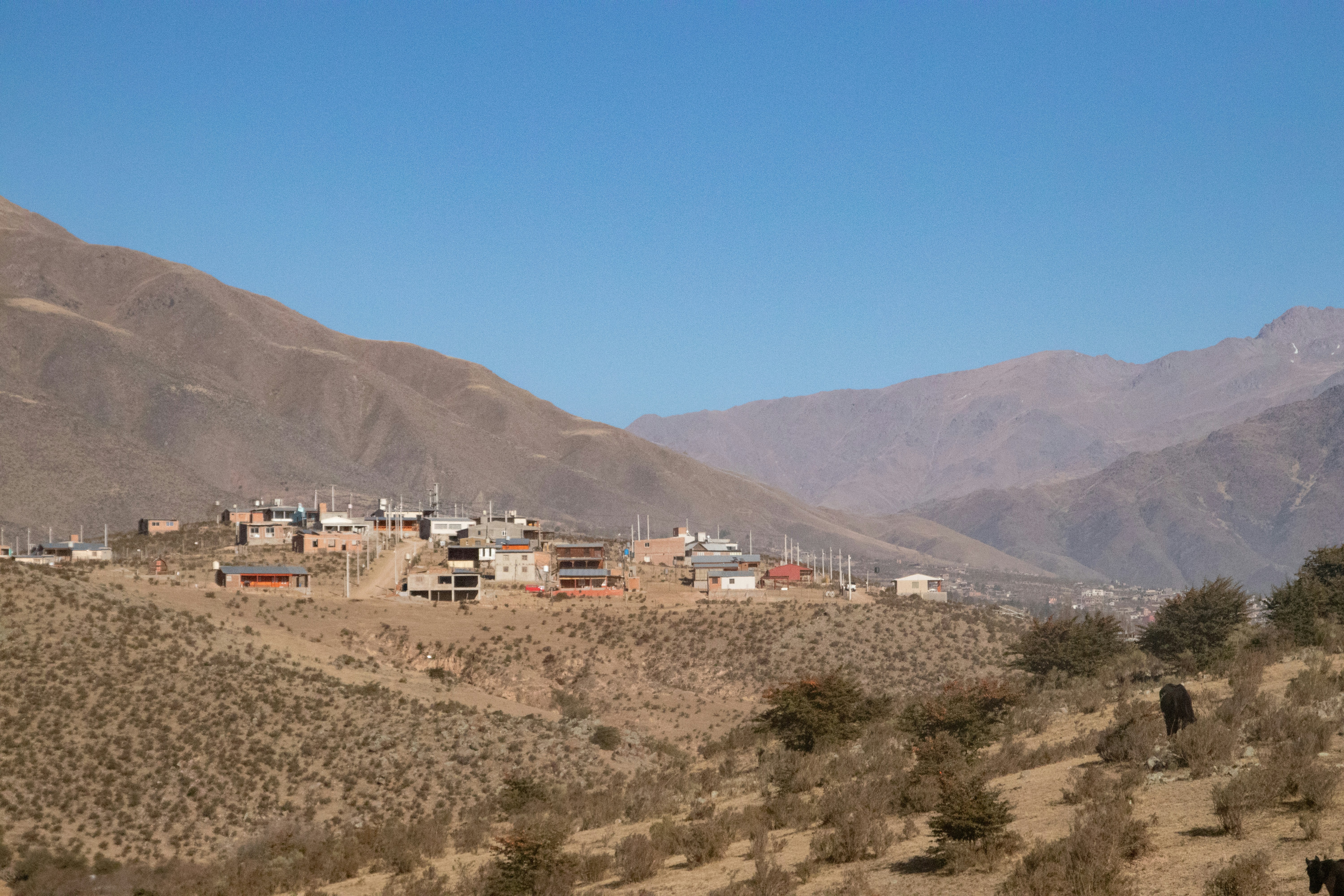 Photo by sonianadales