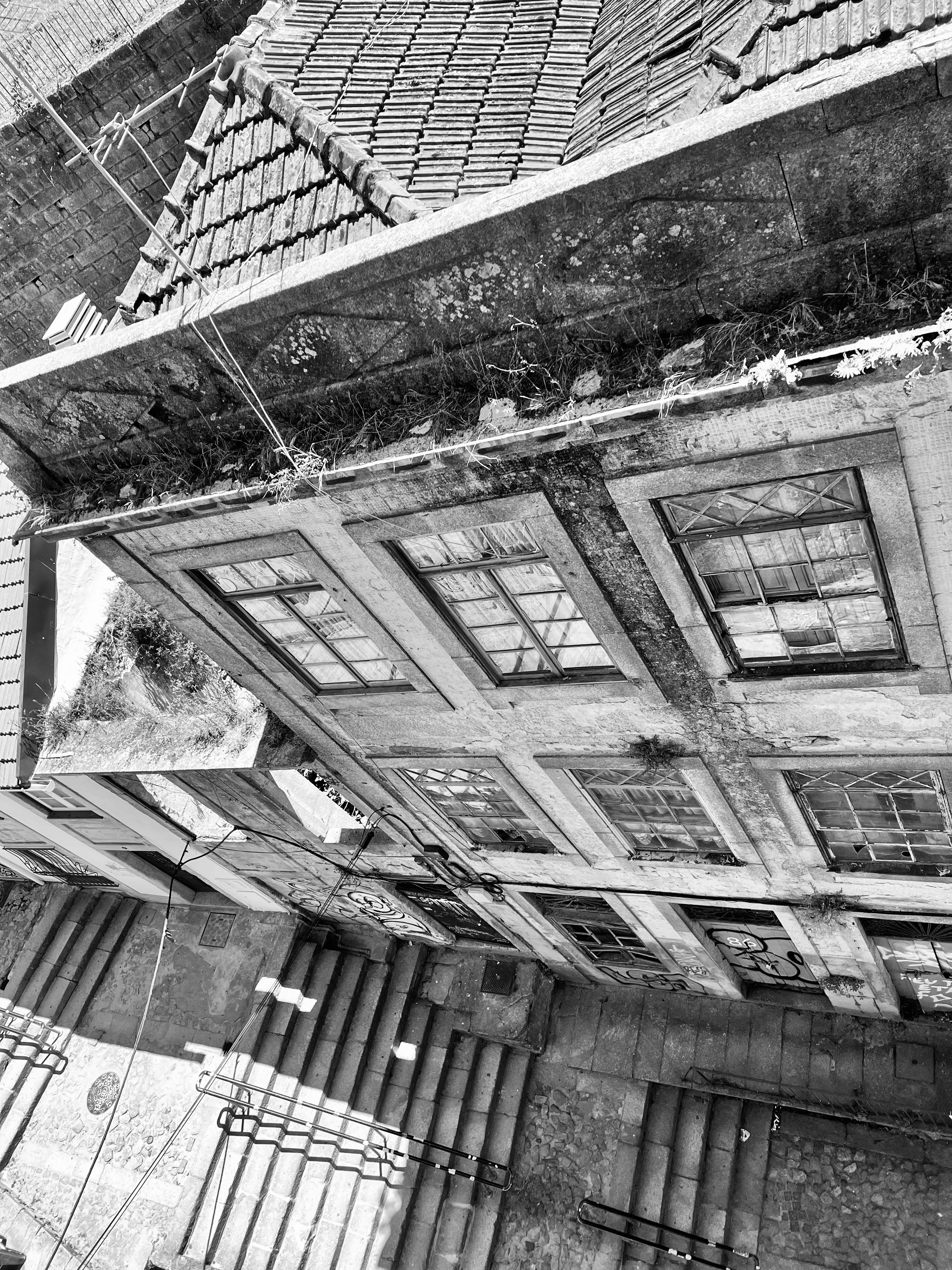 Photo by thebranches