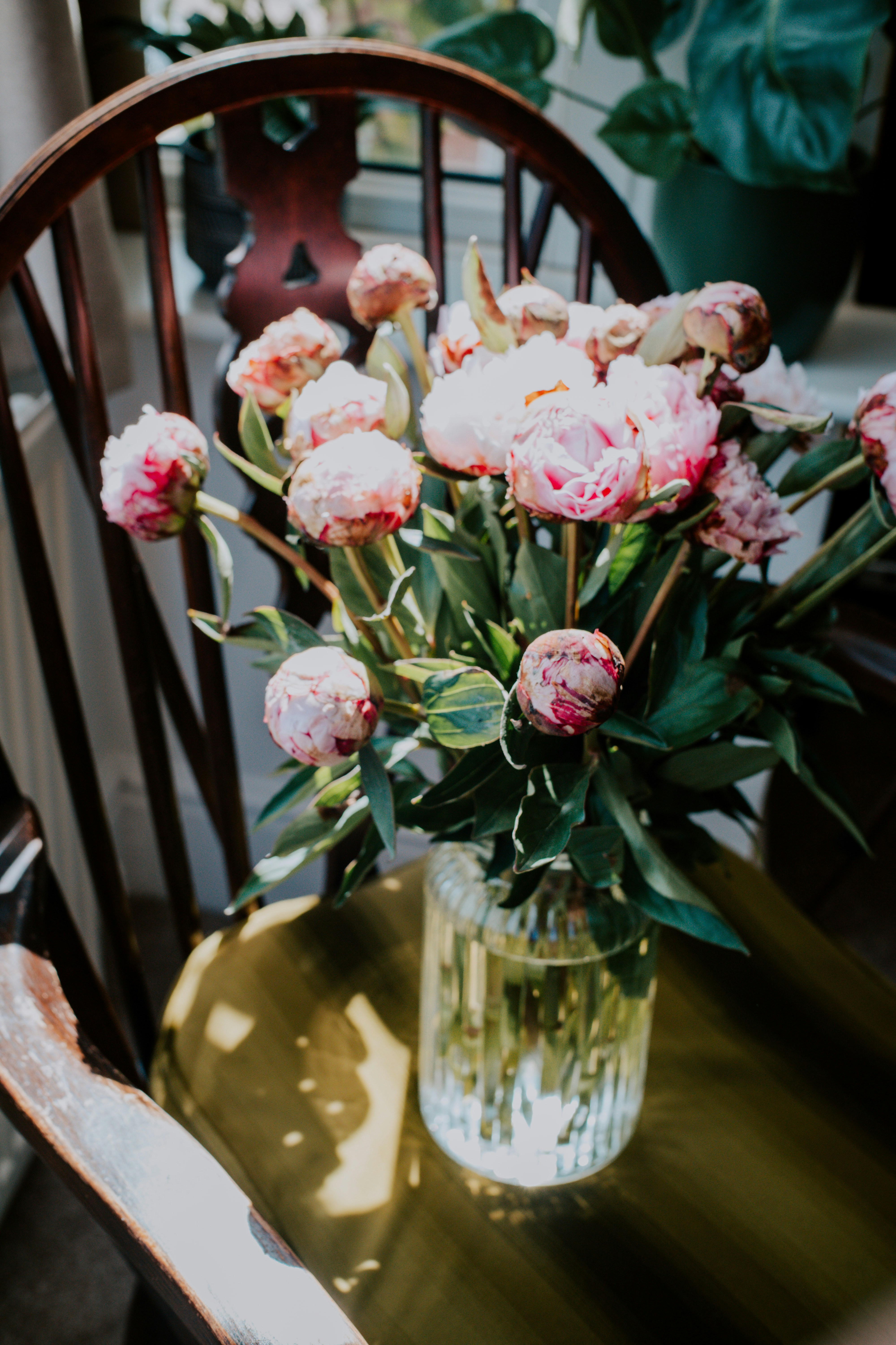 Photo by lanathegraves