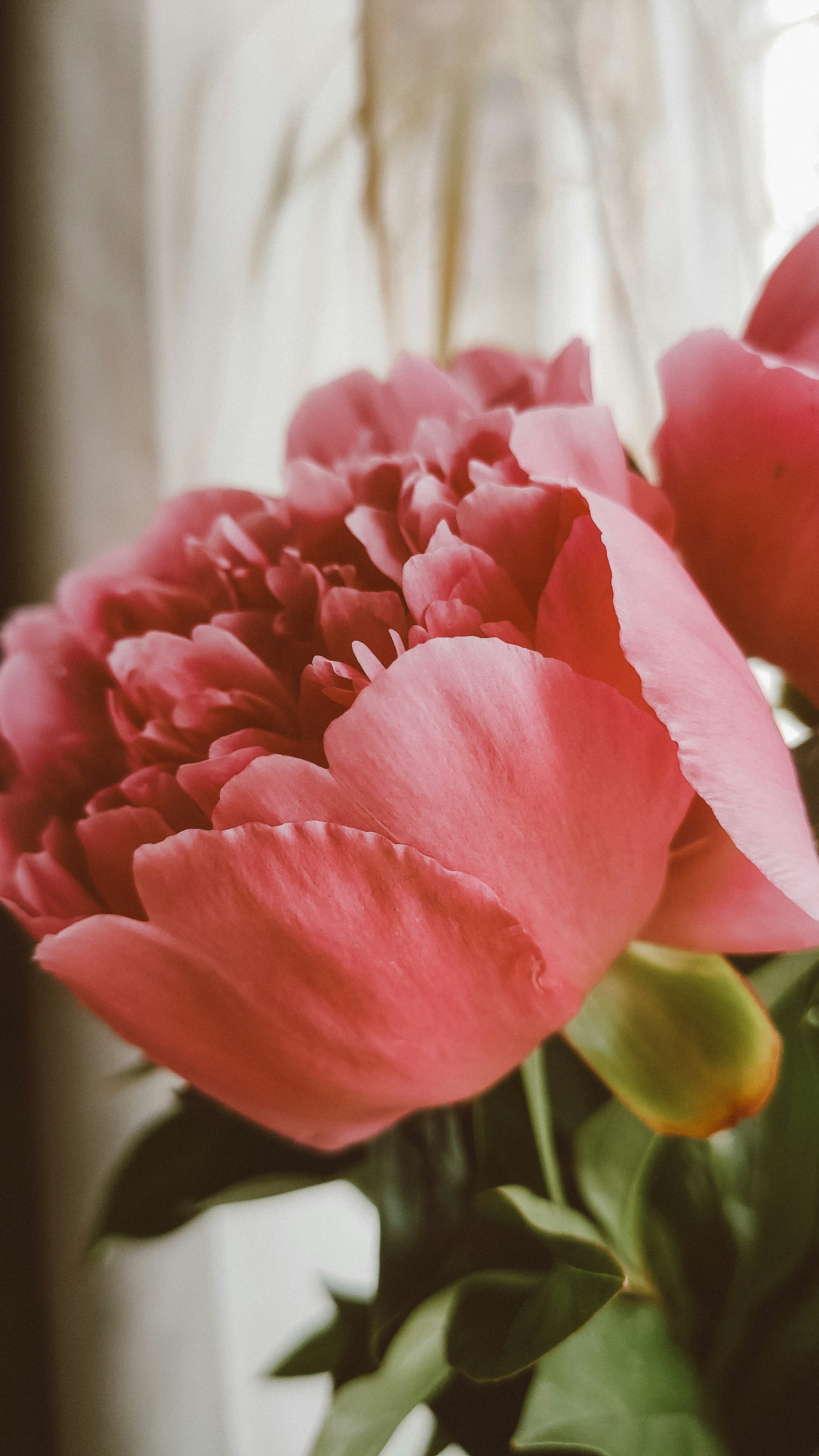 Photo by khrystyna_vatsyk