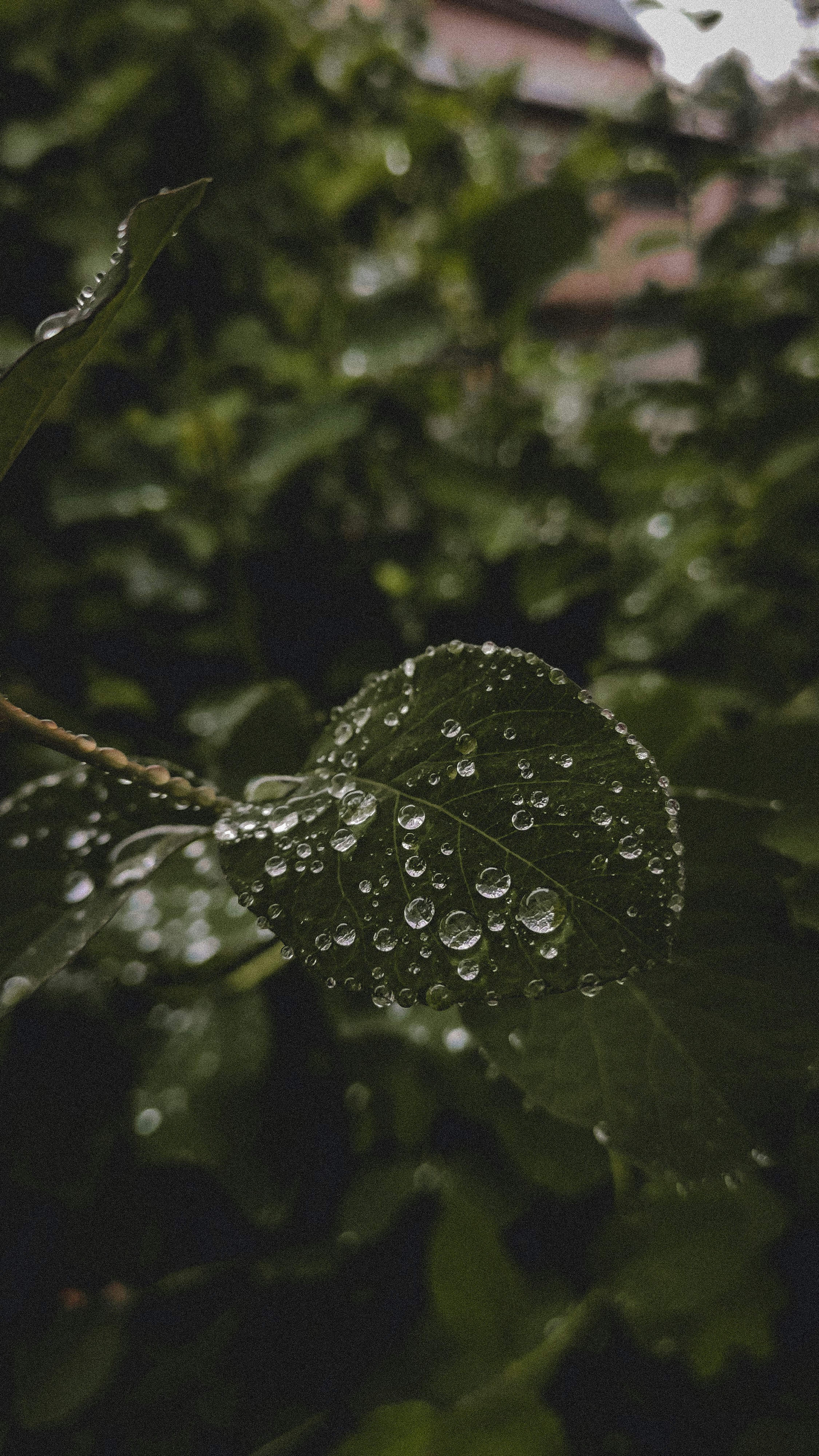 Photo by khrystyna_vatsyk