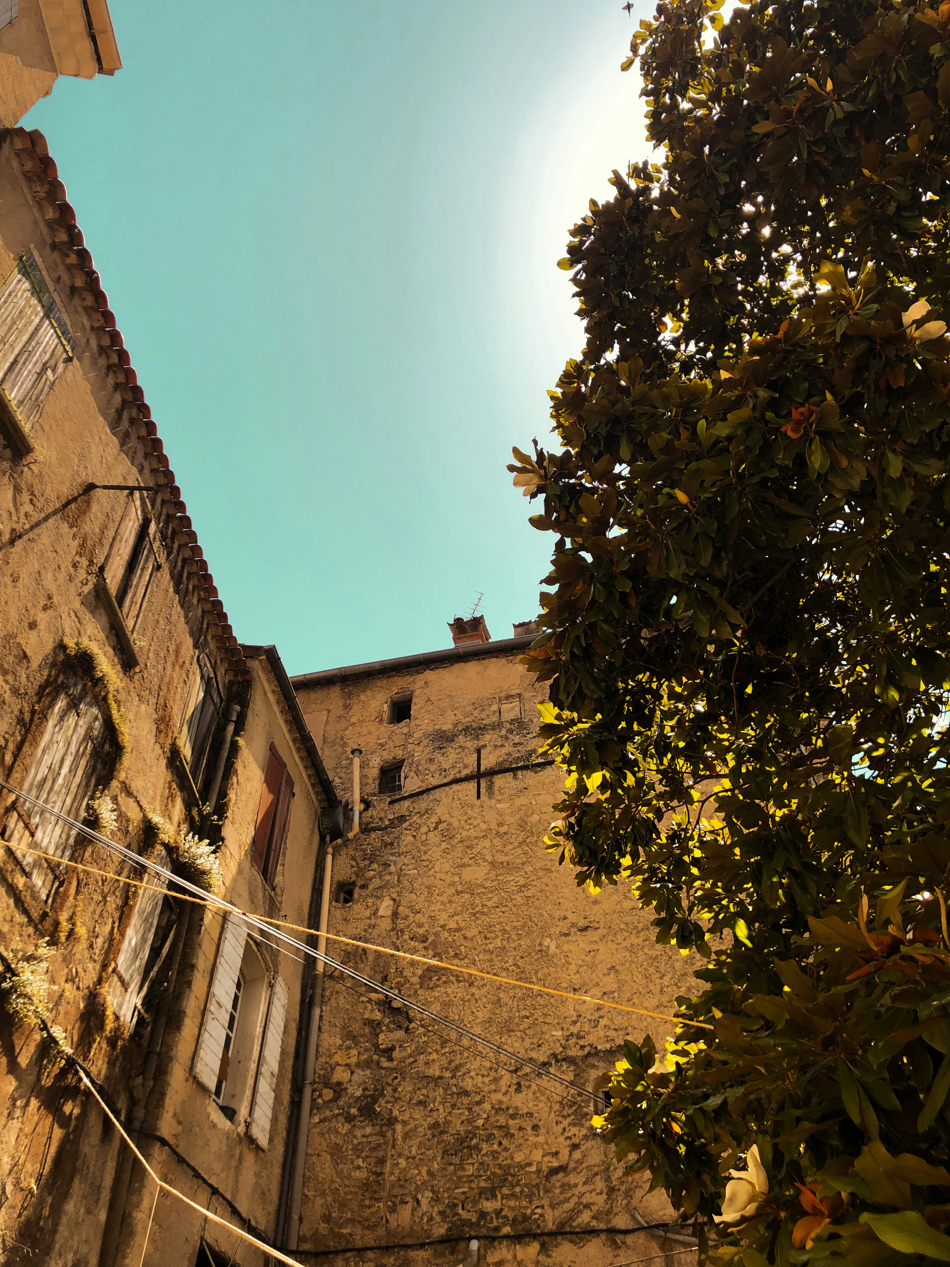 a building with a tree in front of it