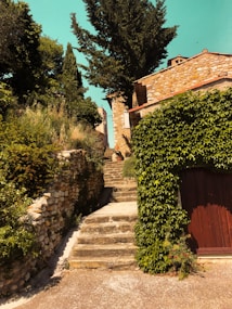 a stone path with bushes and trees