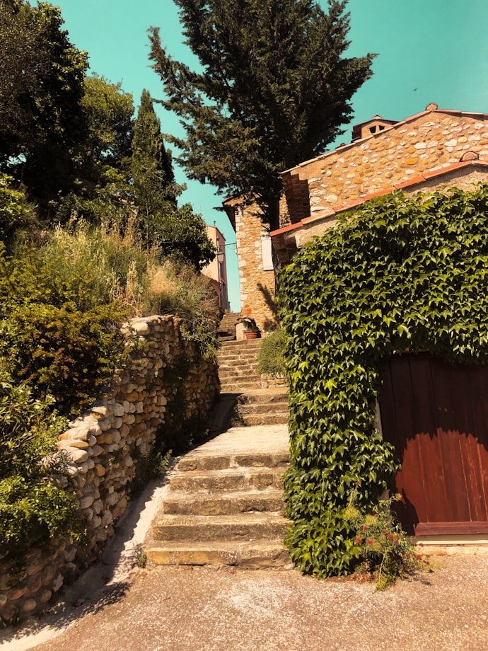 a stone path with bushes and trees