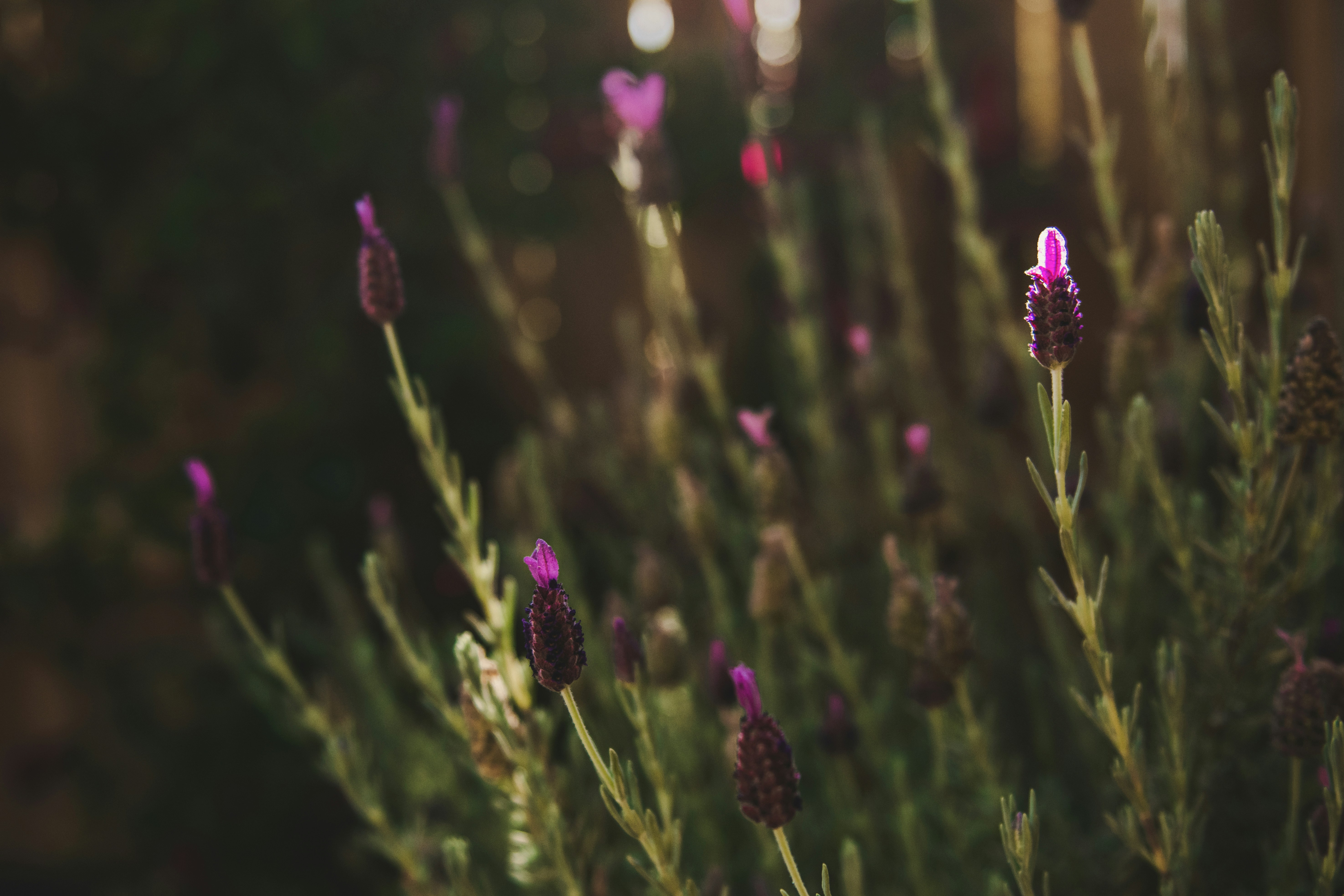 Photo by timmossholder