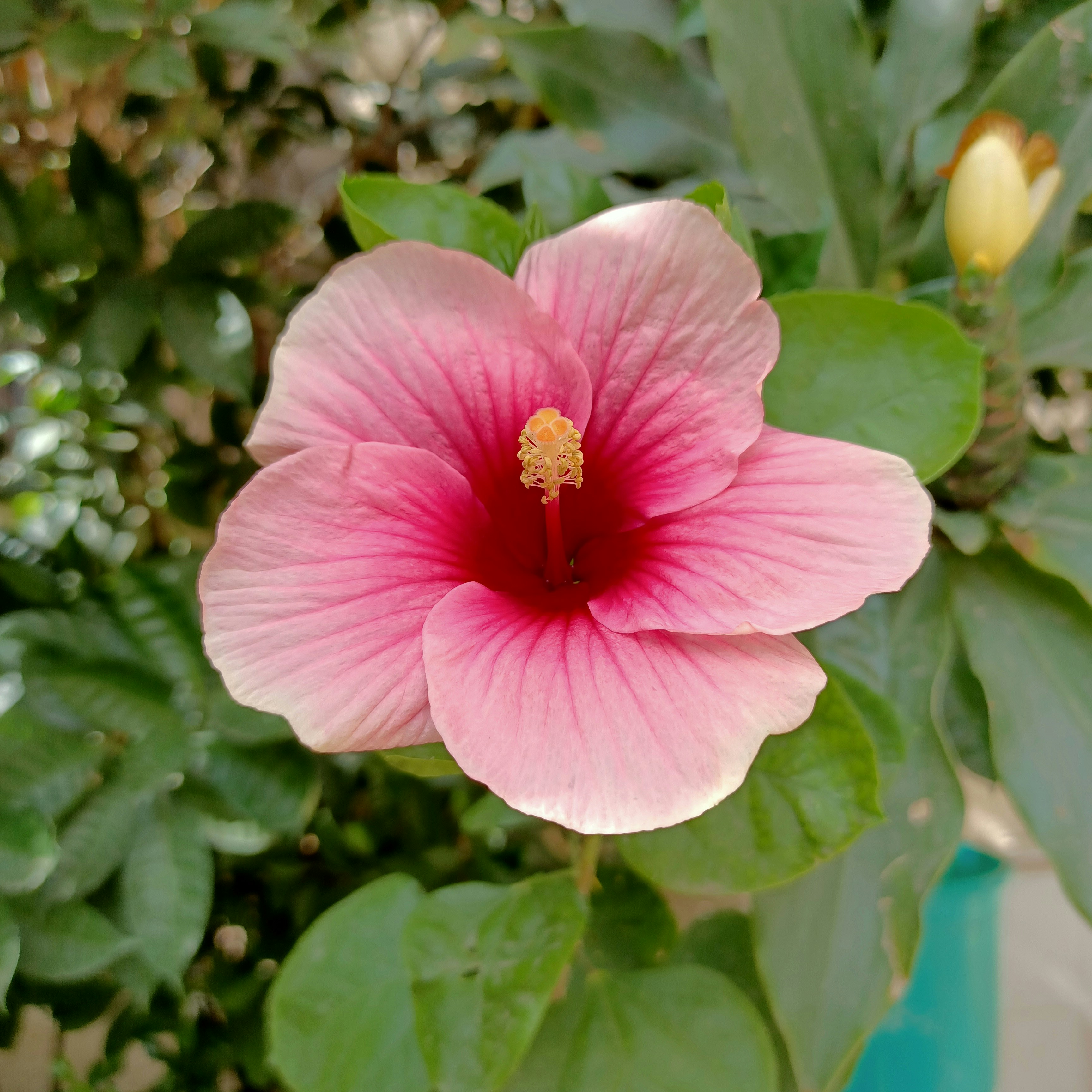 Photo by jayashree10