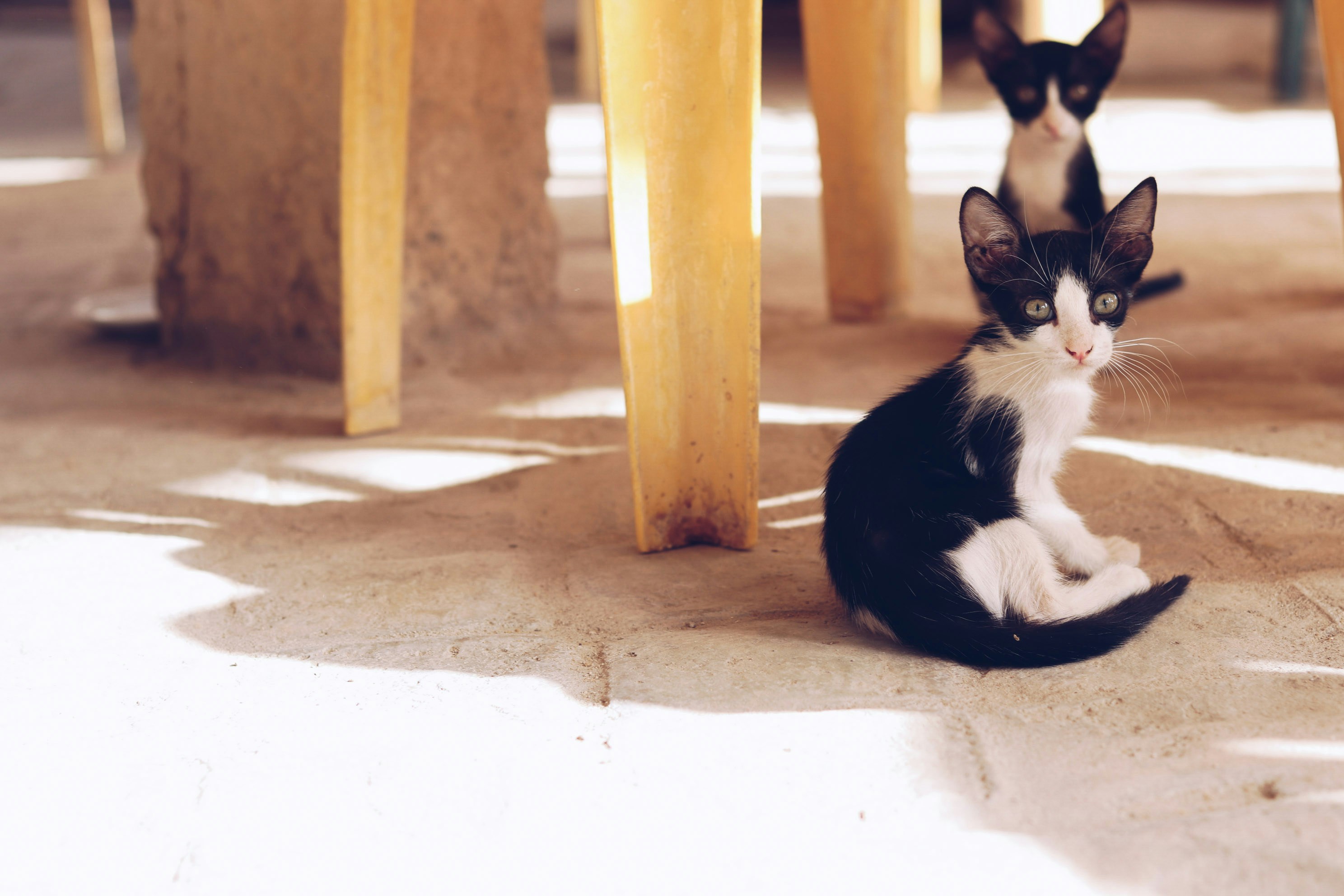 Photo by formulagerona