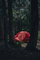Brightly colored shower tent pitched in a sunny forest clearing.