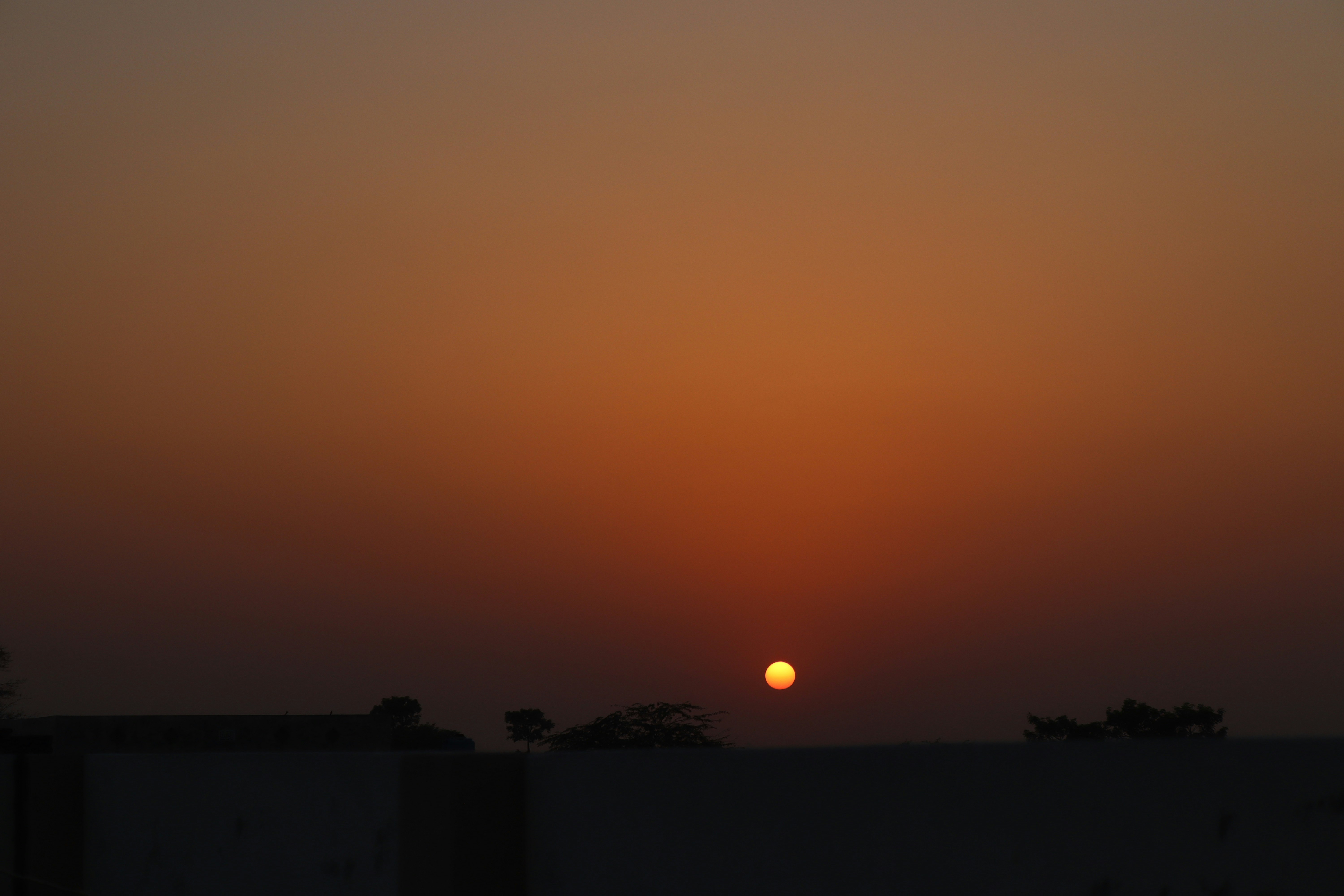 Photo by drphotographer152