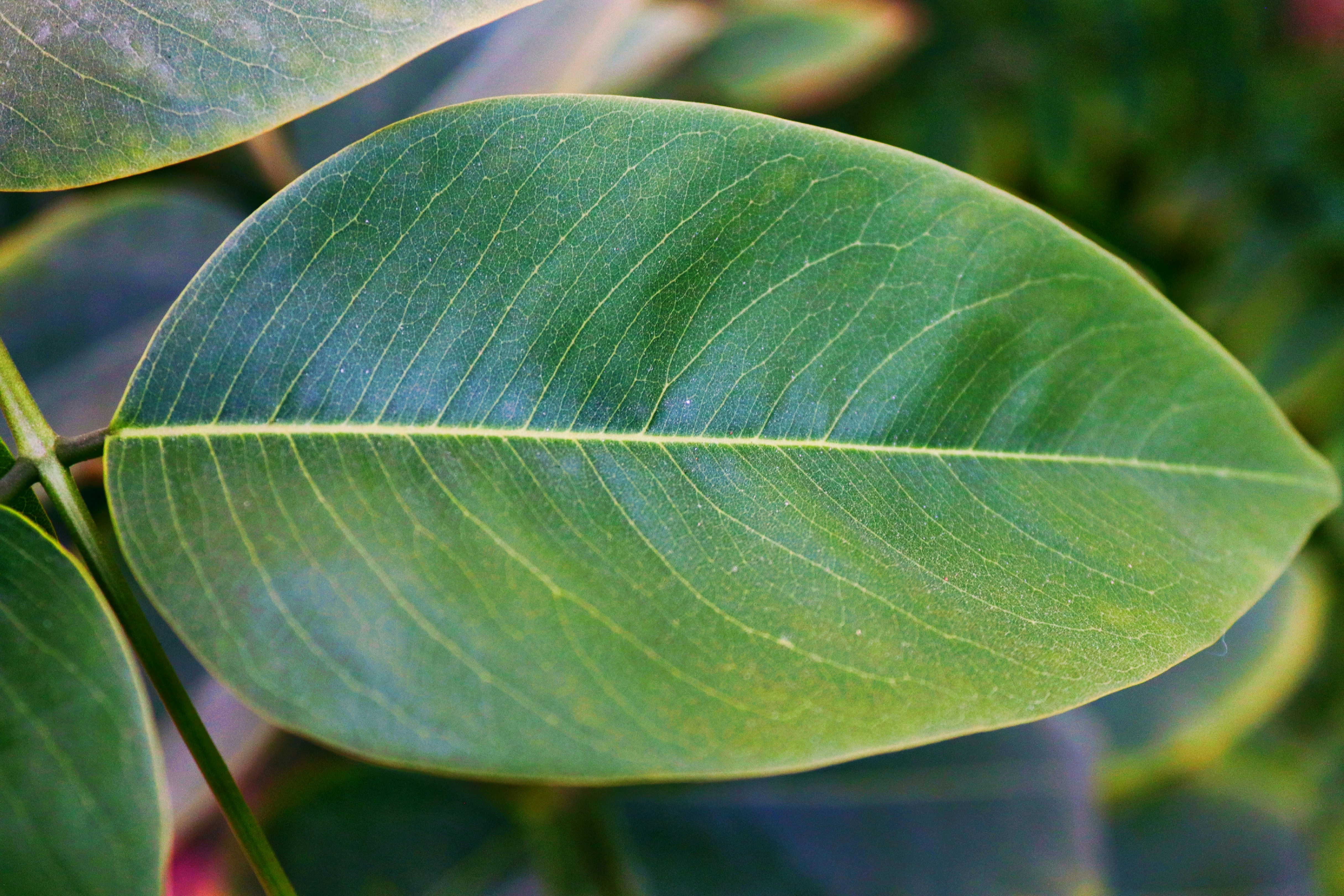 Photo by drphotographer152