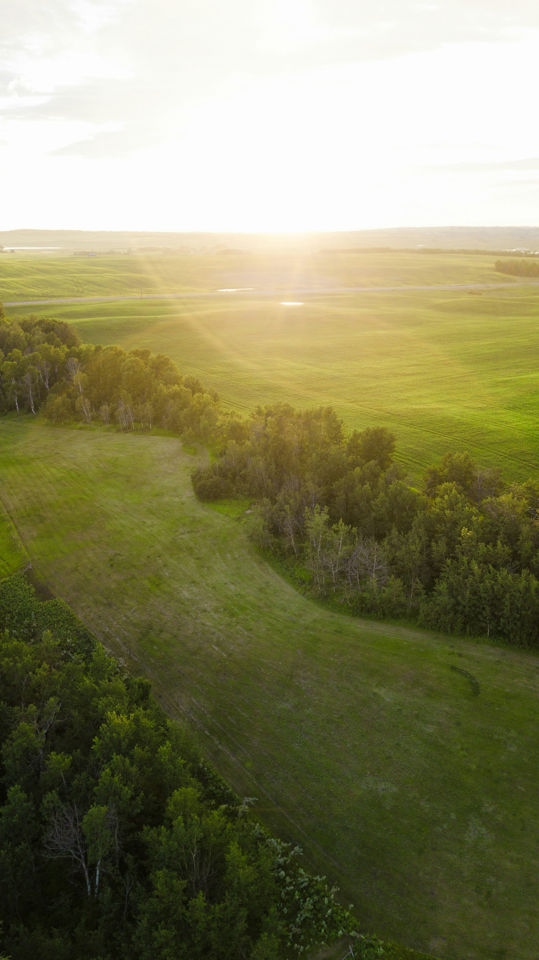 Photo by bendenengelsen