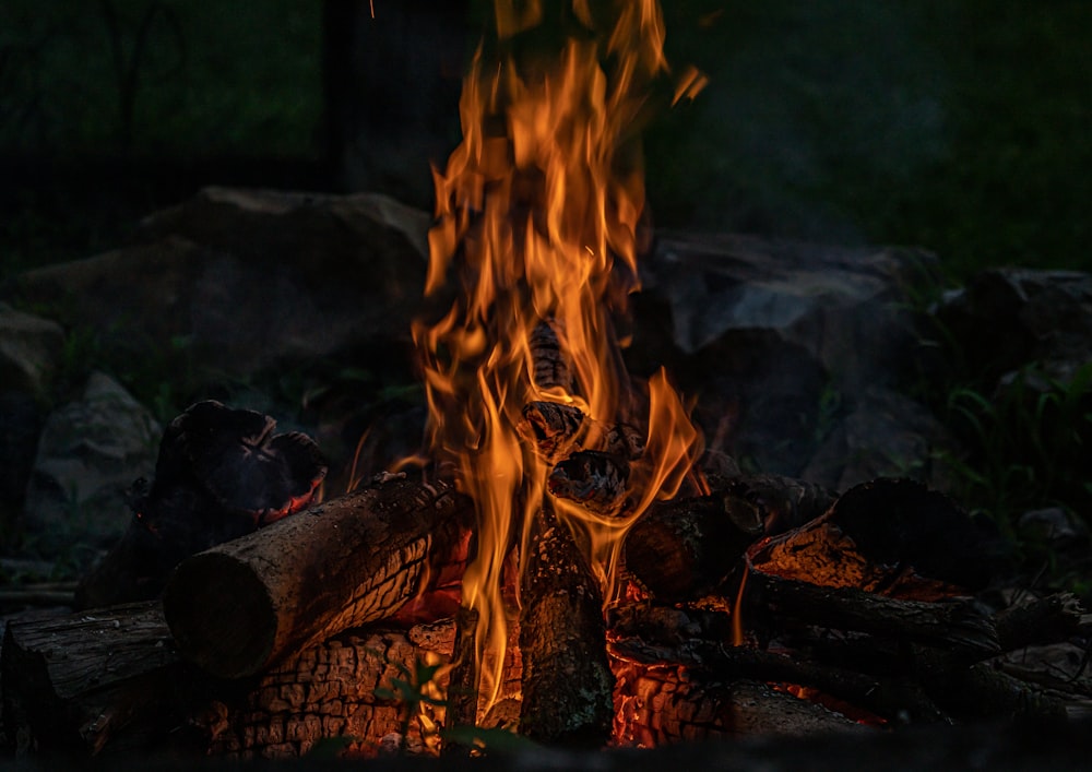 a bonfire in the woods