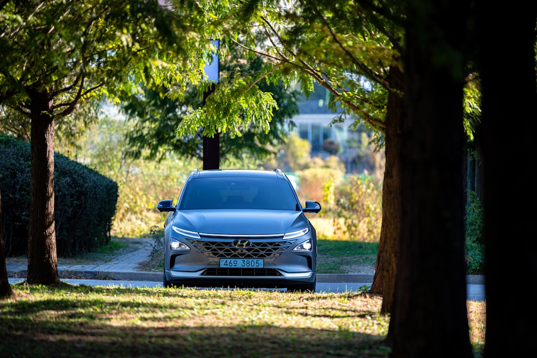 a car parked on the side of a road, Hyundai NEXO beside the trees