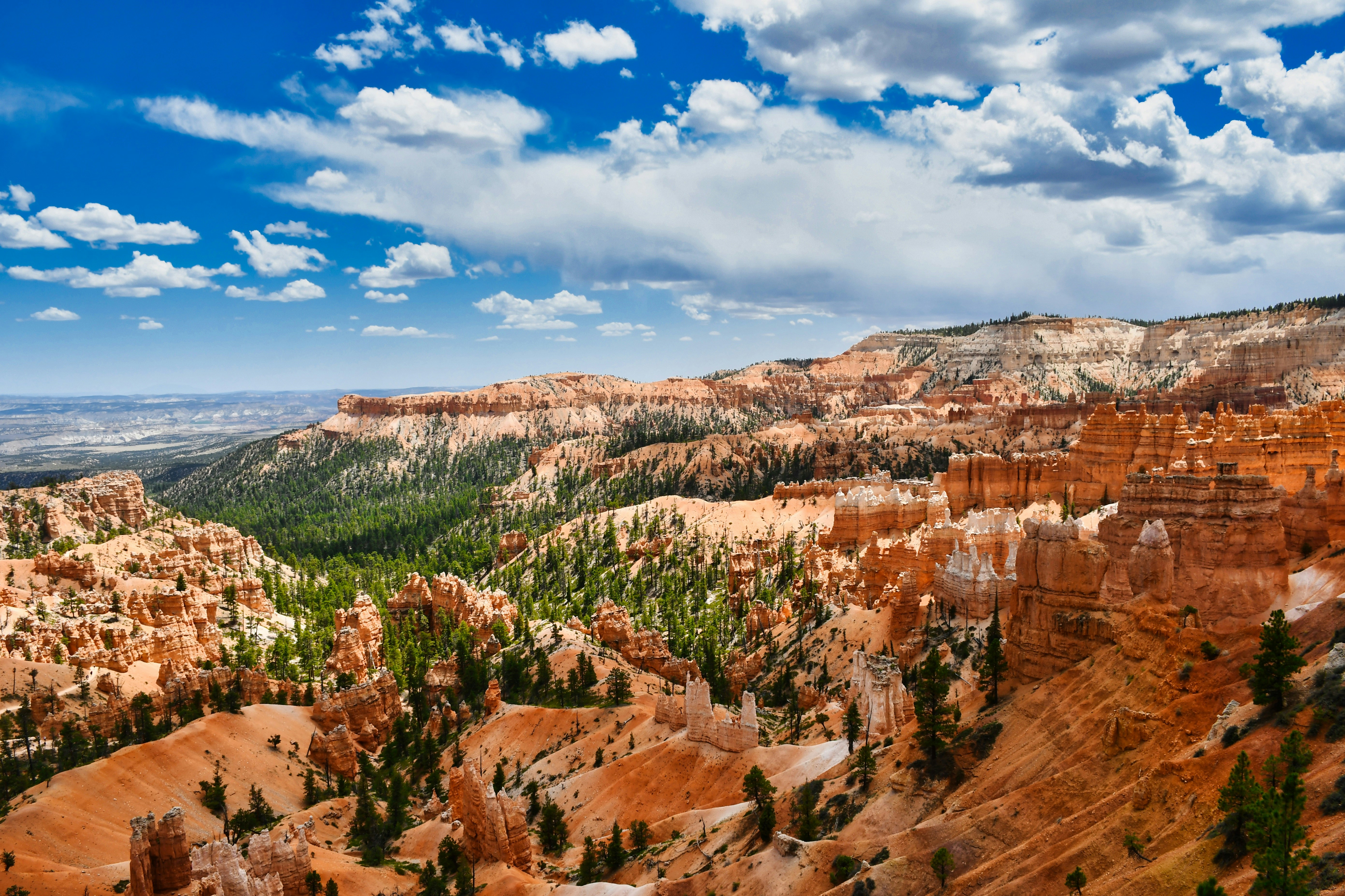 Photo by oculareuphoria