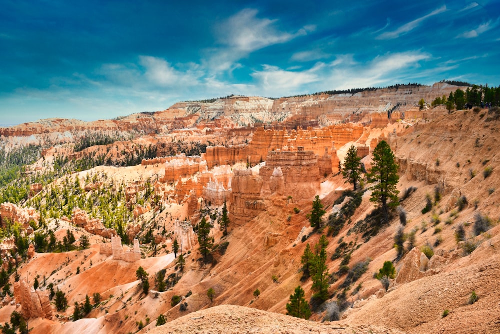 a rocky canyon with trees with Bryce Canyon National Park in the background