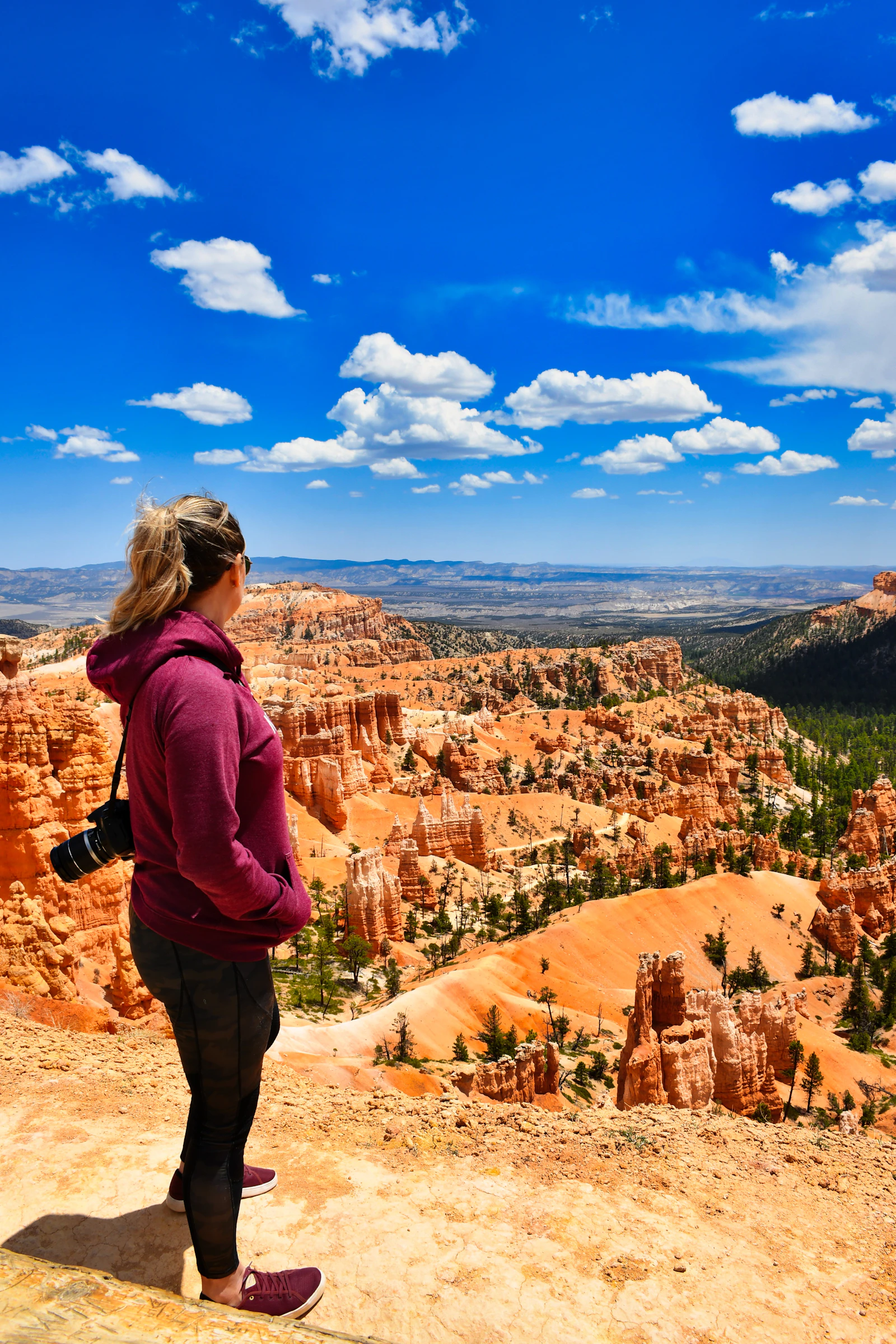 A creator photographing a canyon from the rim, working the light