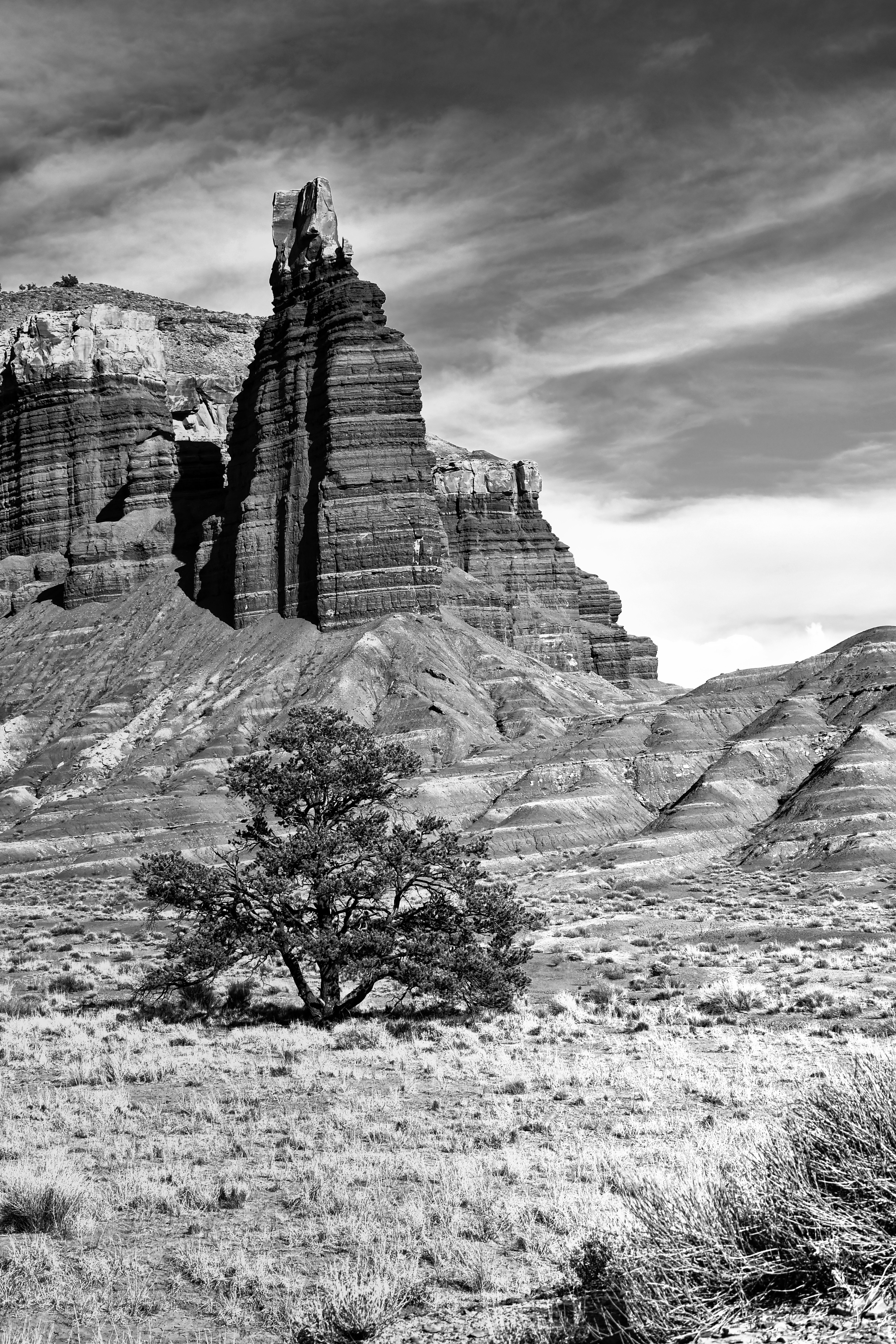 Photo by oculareuphoria