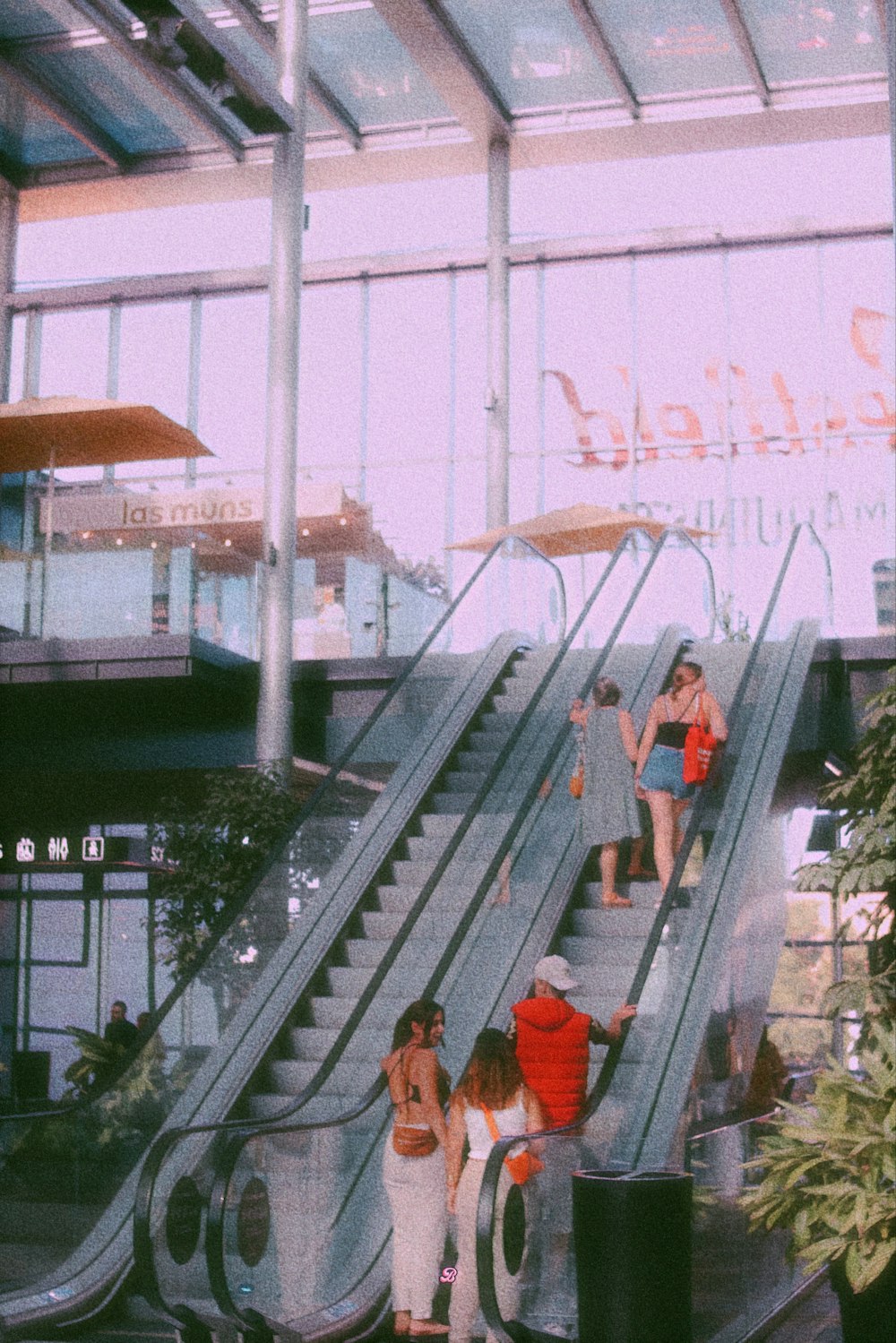 people walking up a flight of stairs