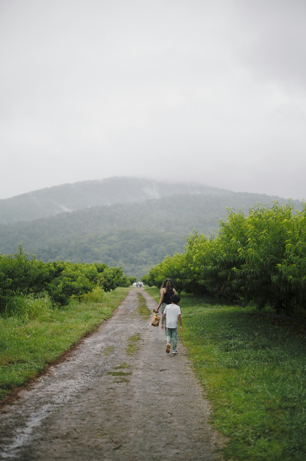 a couple walking on a dirt road