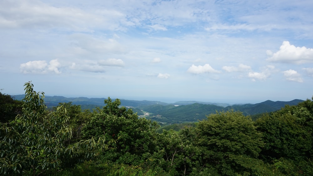 a view of the mountains and trees