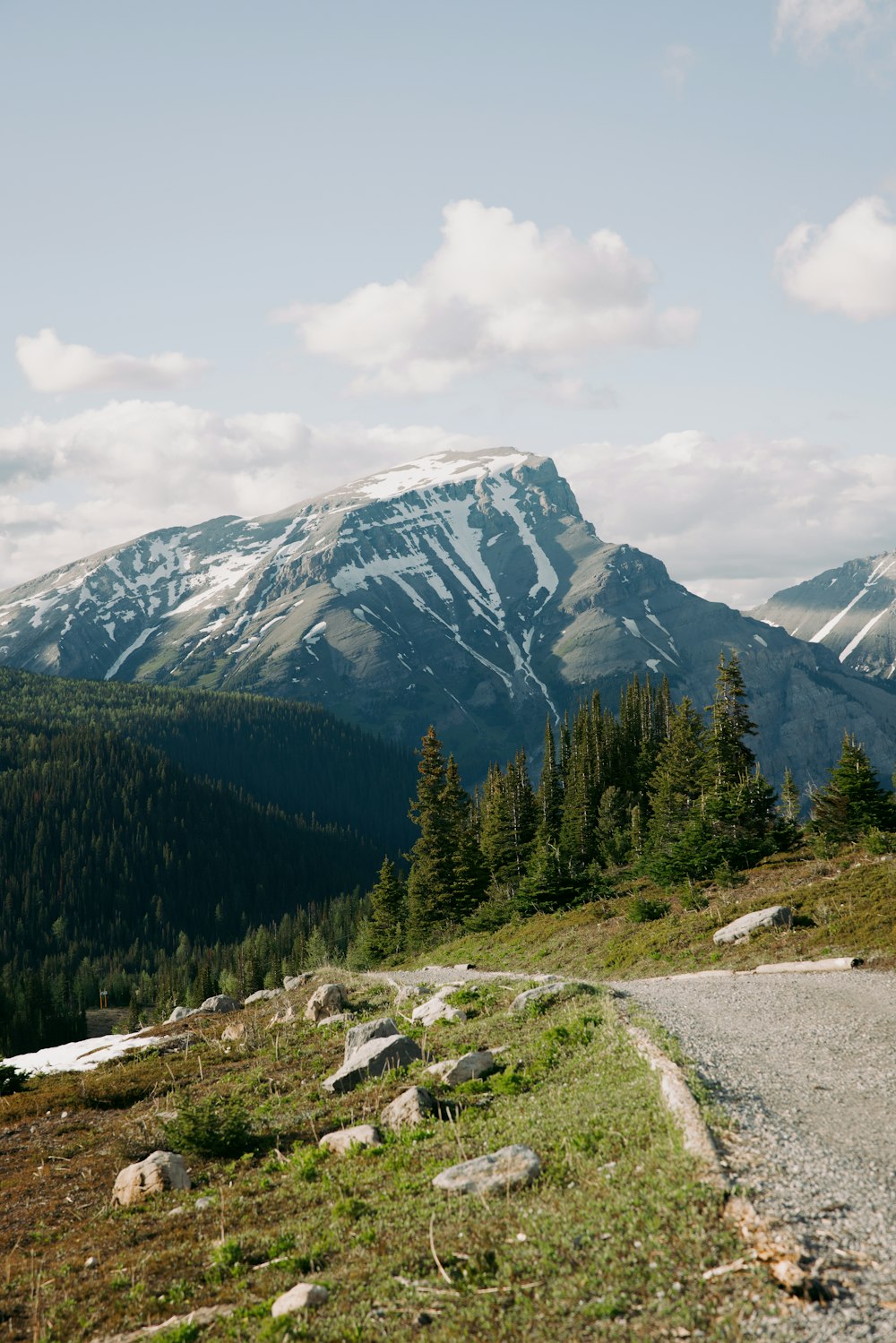 una montagna con alberi e rocce