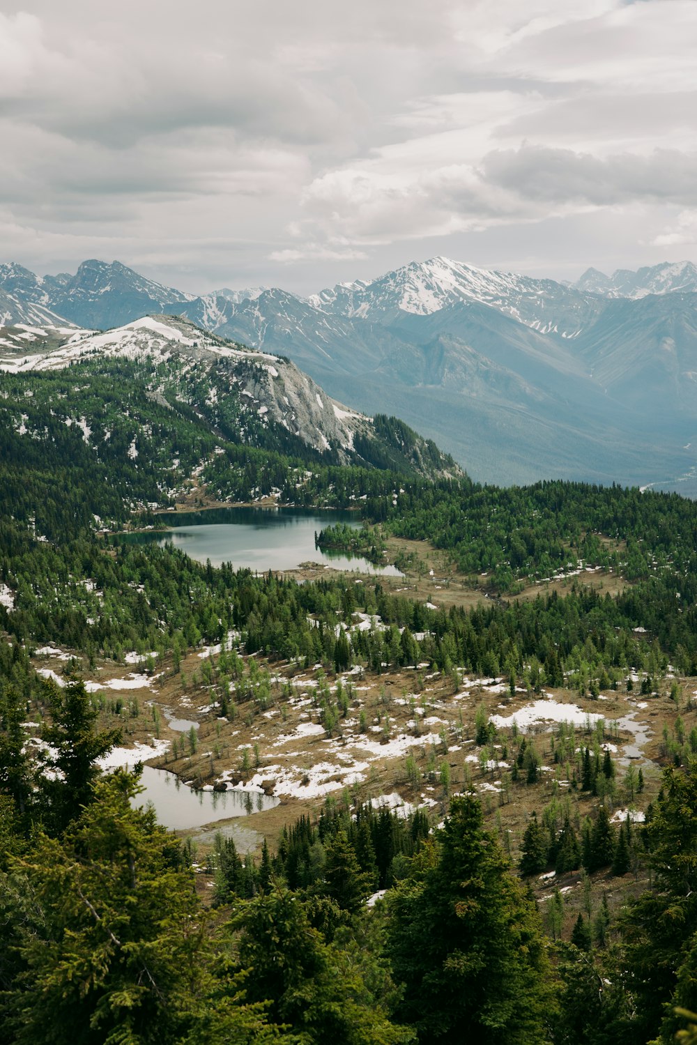 Un río que atraviesa un valle con árboles y montañas al fondo