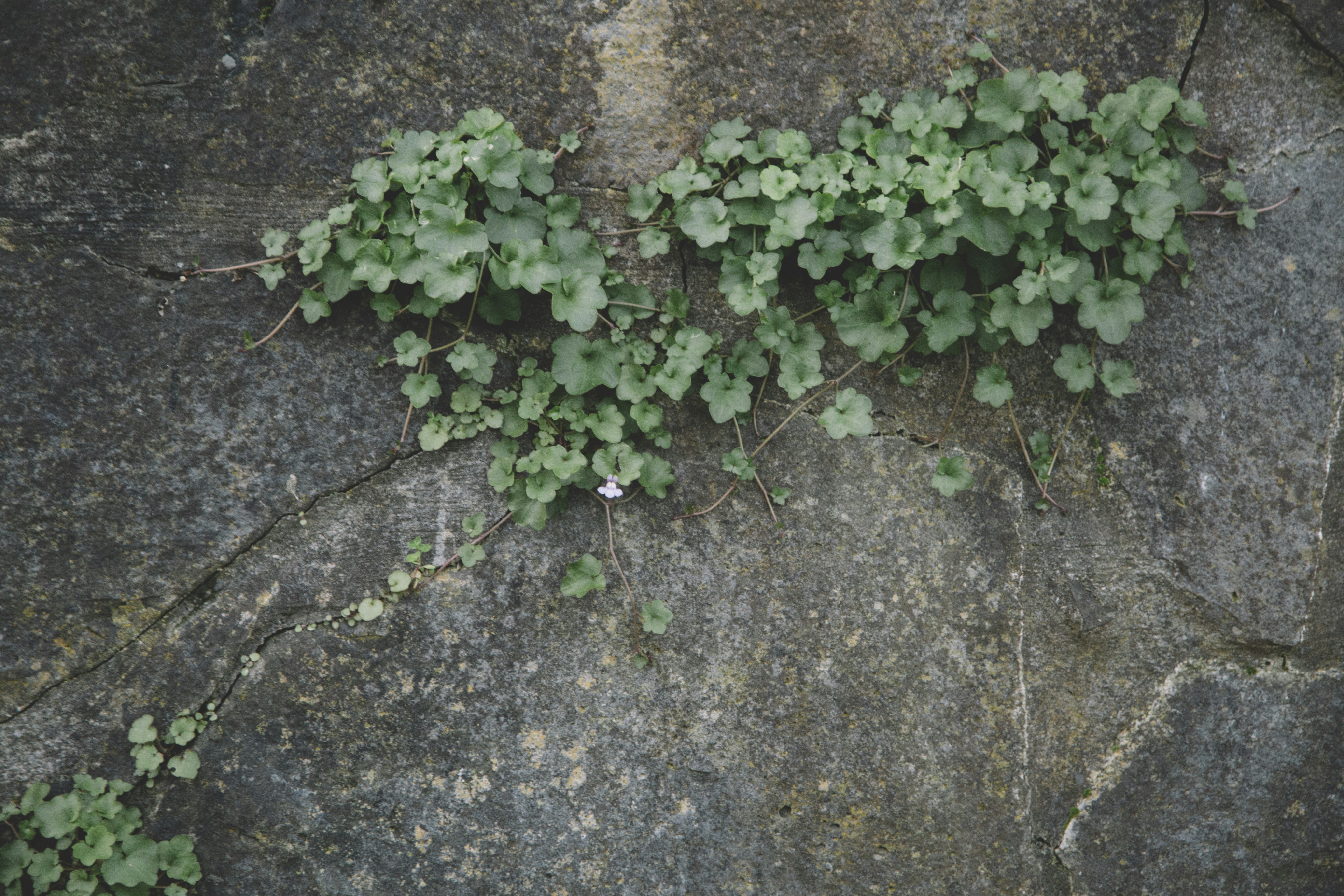 Photo by hedleywakefield