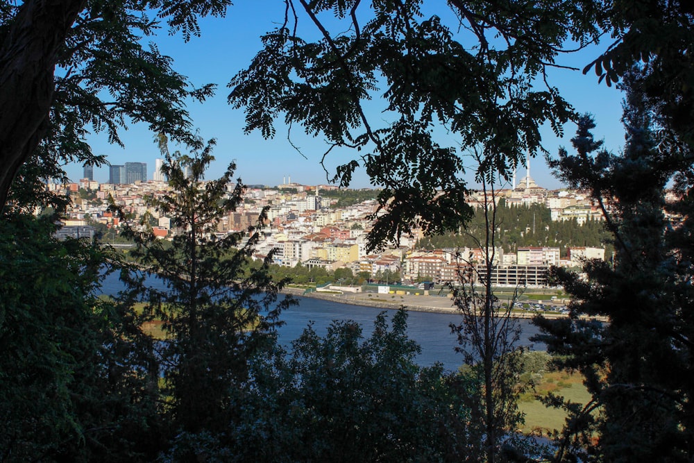 a body of water with trees around it and buildings in the back