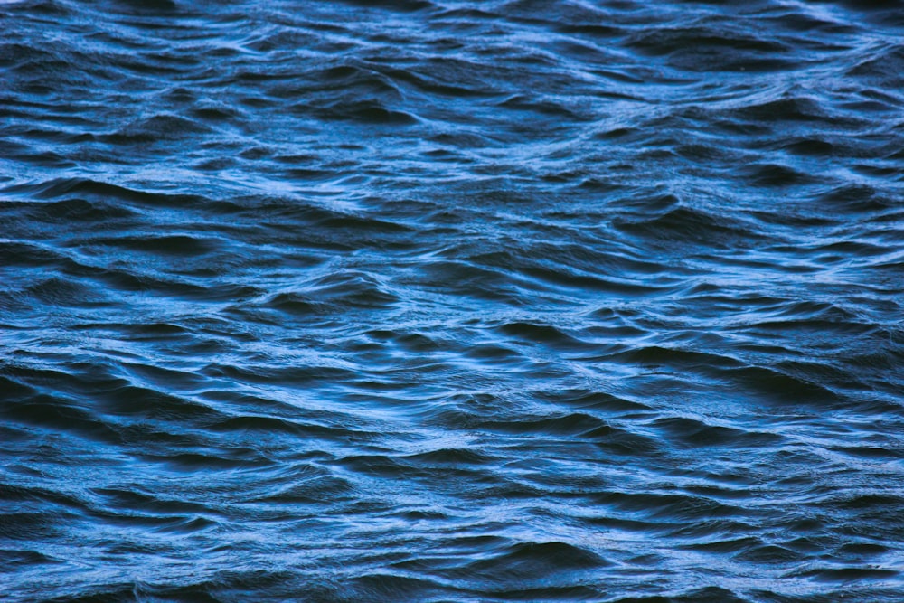 a body of water with ripples