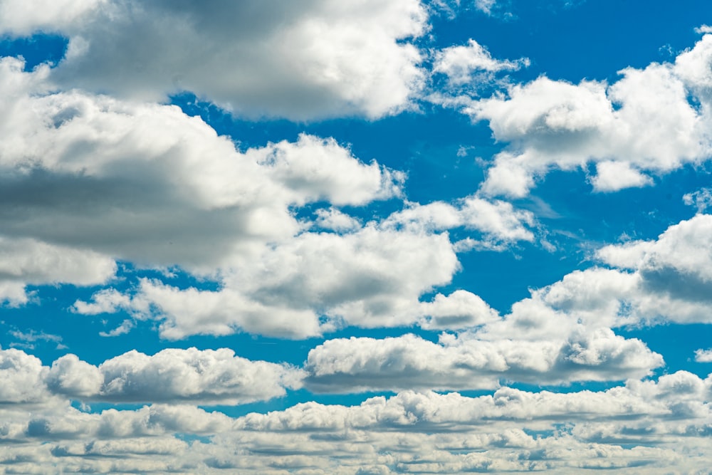 white clouds in the sky