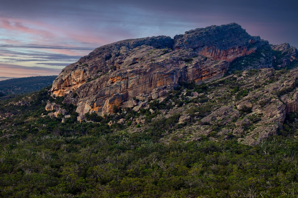 a rocky mountain with trees