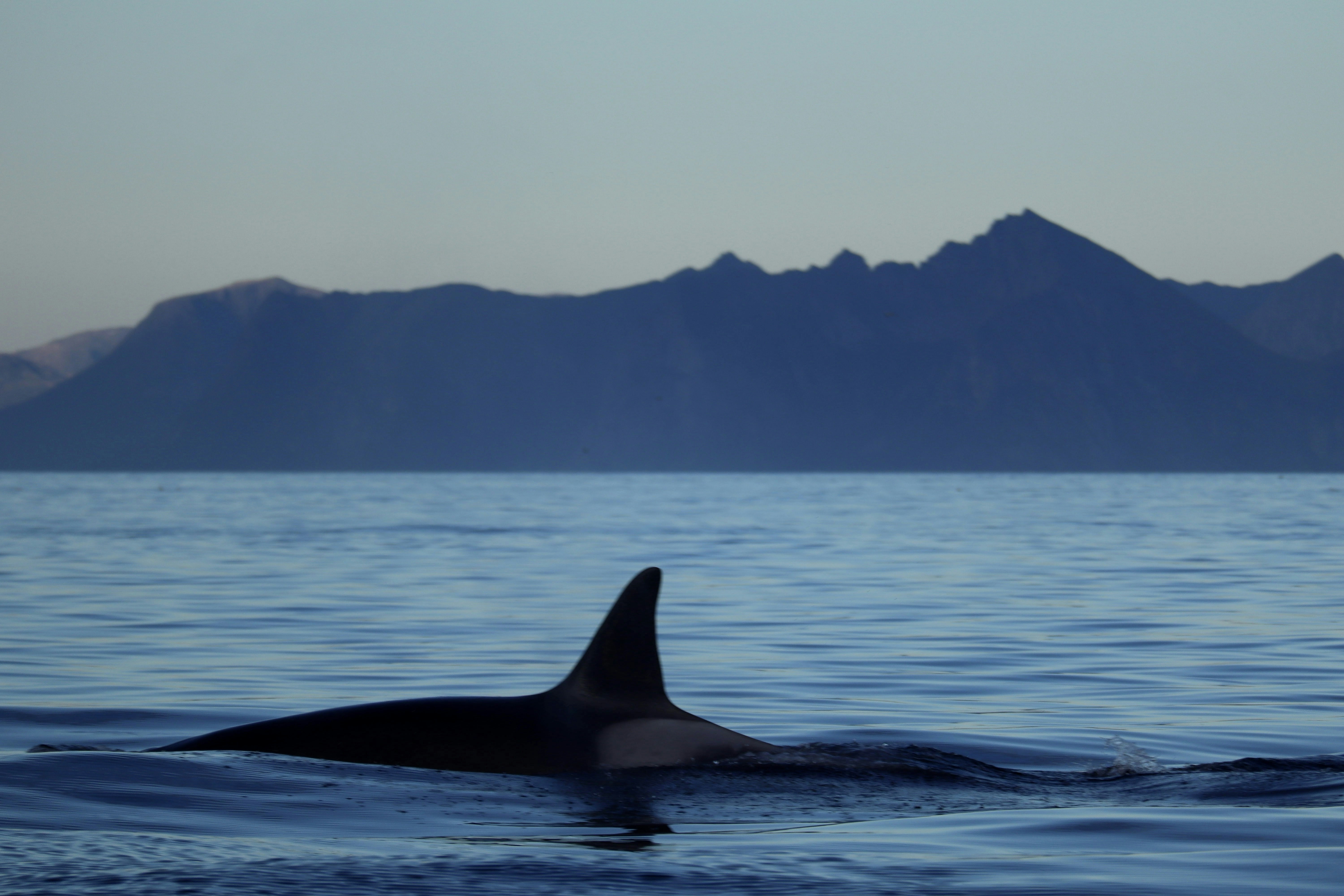 Photo by janbehnisch