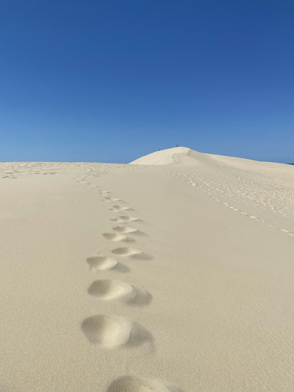 a desert with footprints