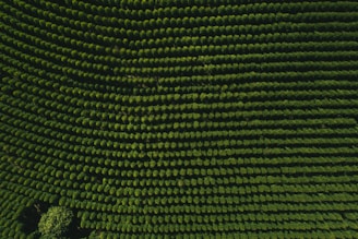 a green and black screen