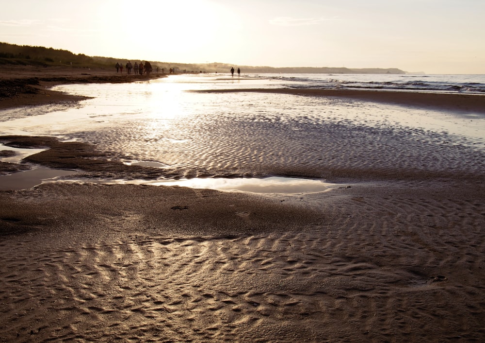 a beach with people walking on it