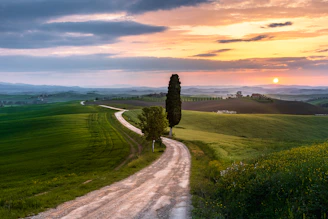 a dirt road with trees on the side and a sunset in the background