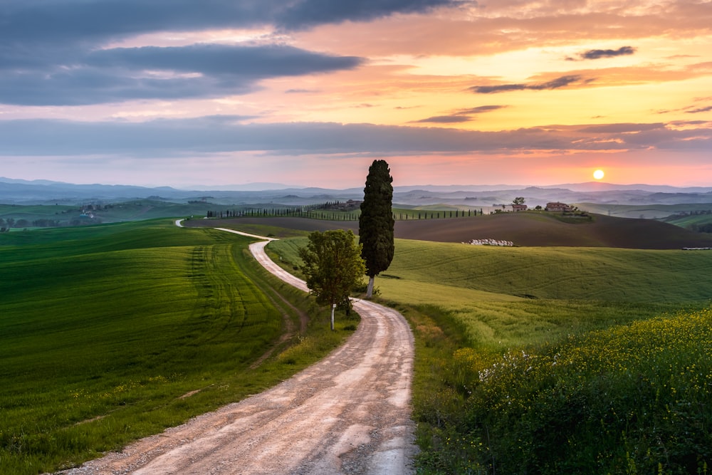 a dirt road with trees on the side and a sunset in the background