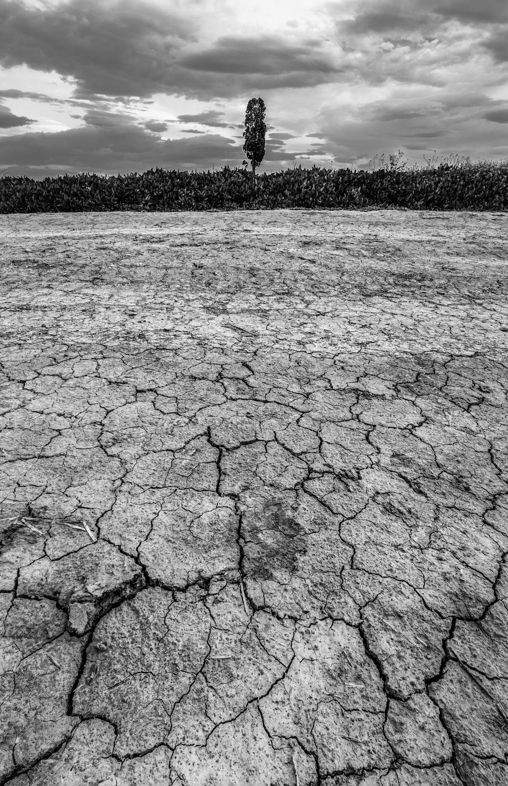 uma grande paisagem seca