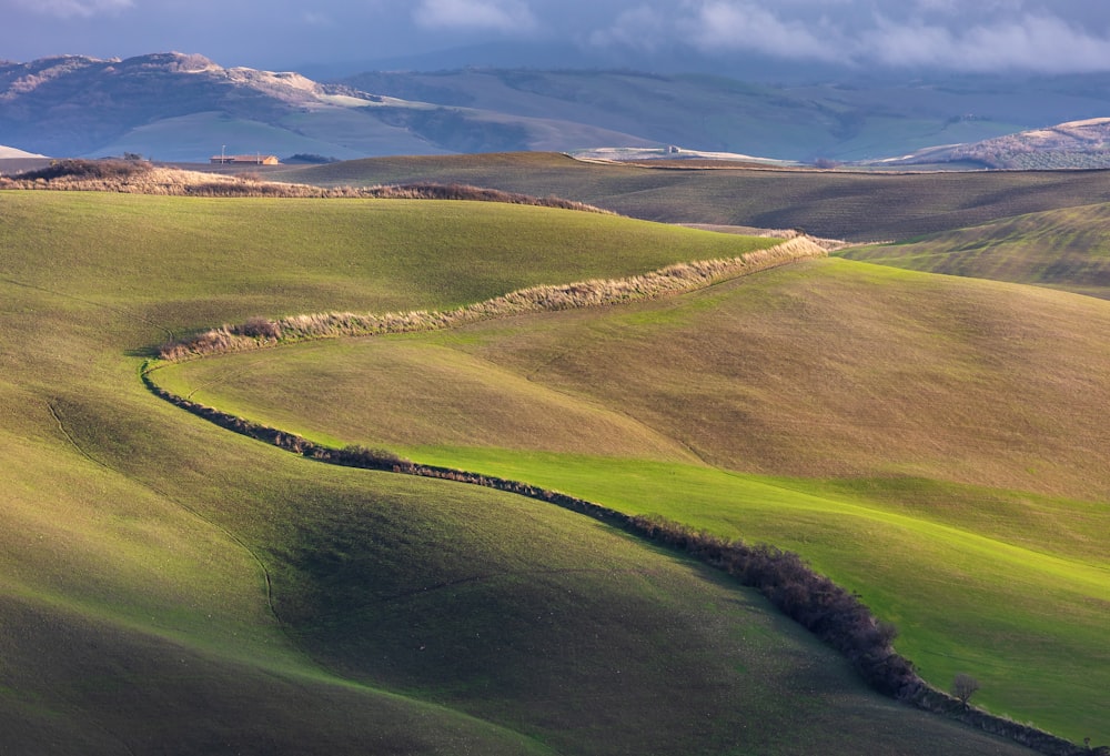 Un grand paysage verdoyant