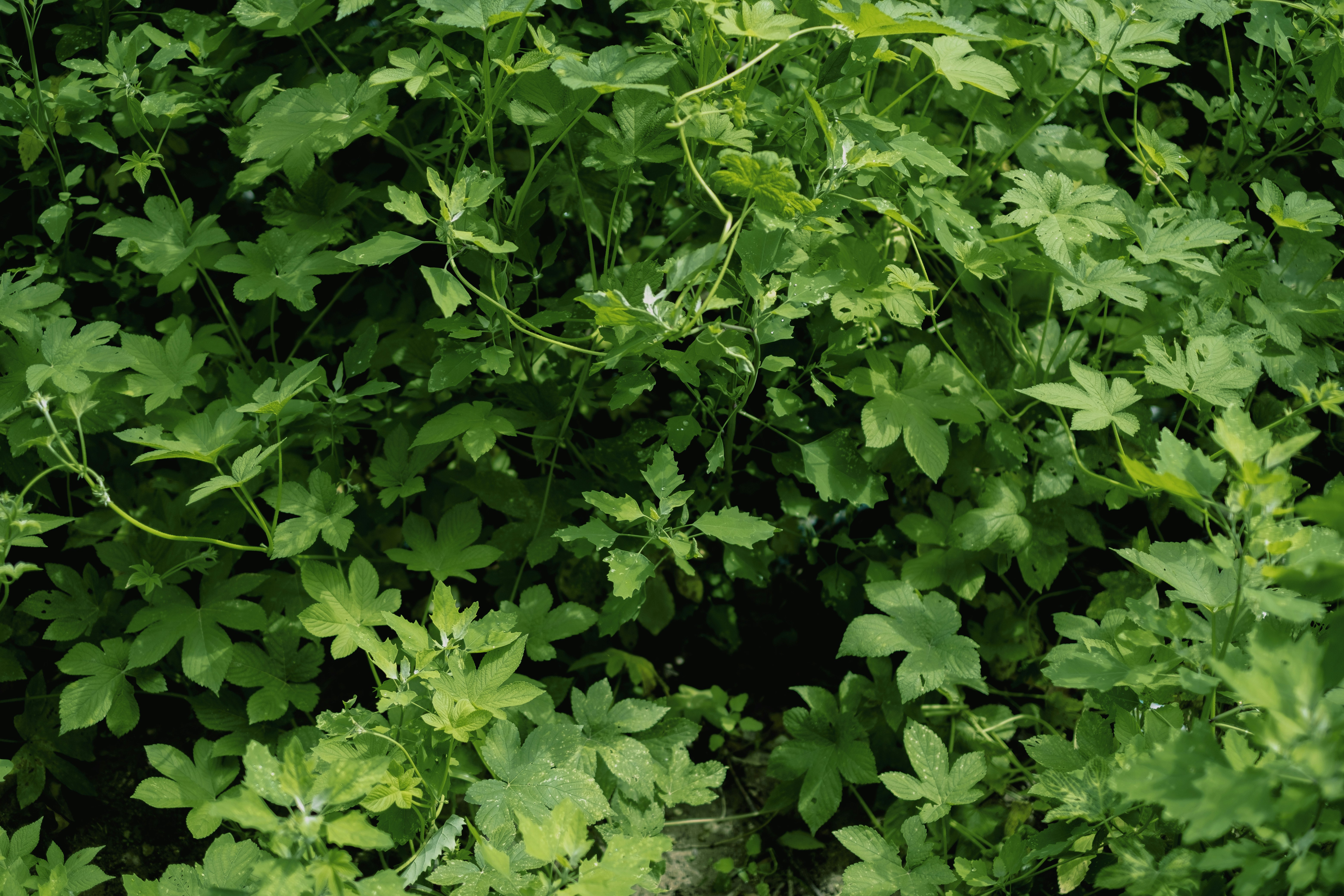 Photo by luochennnnnn