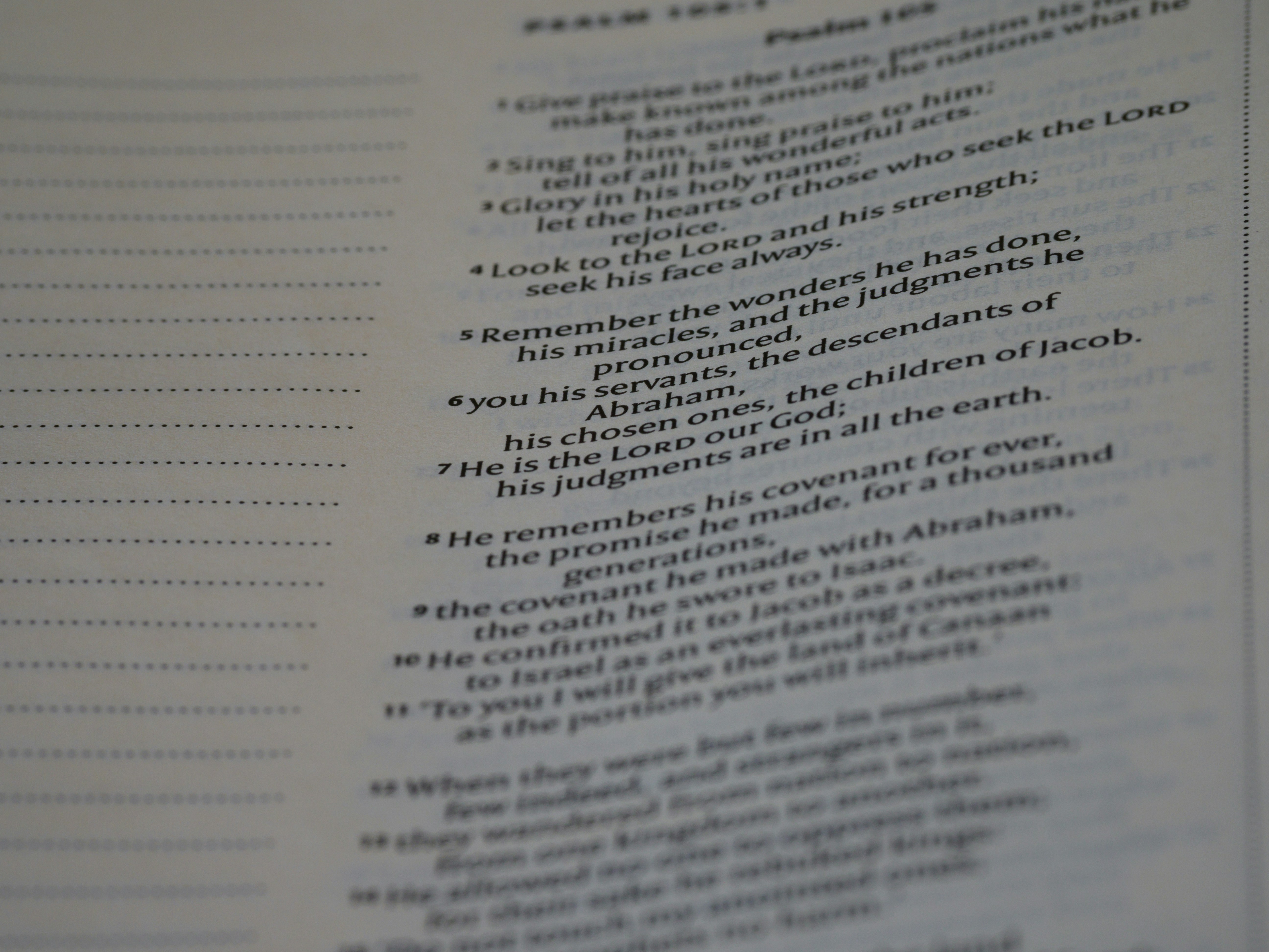 Photo by brett_jordan