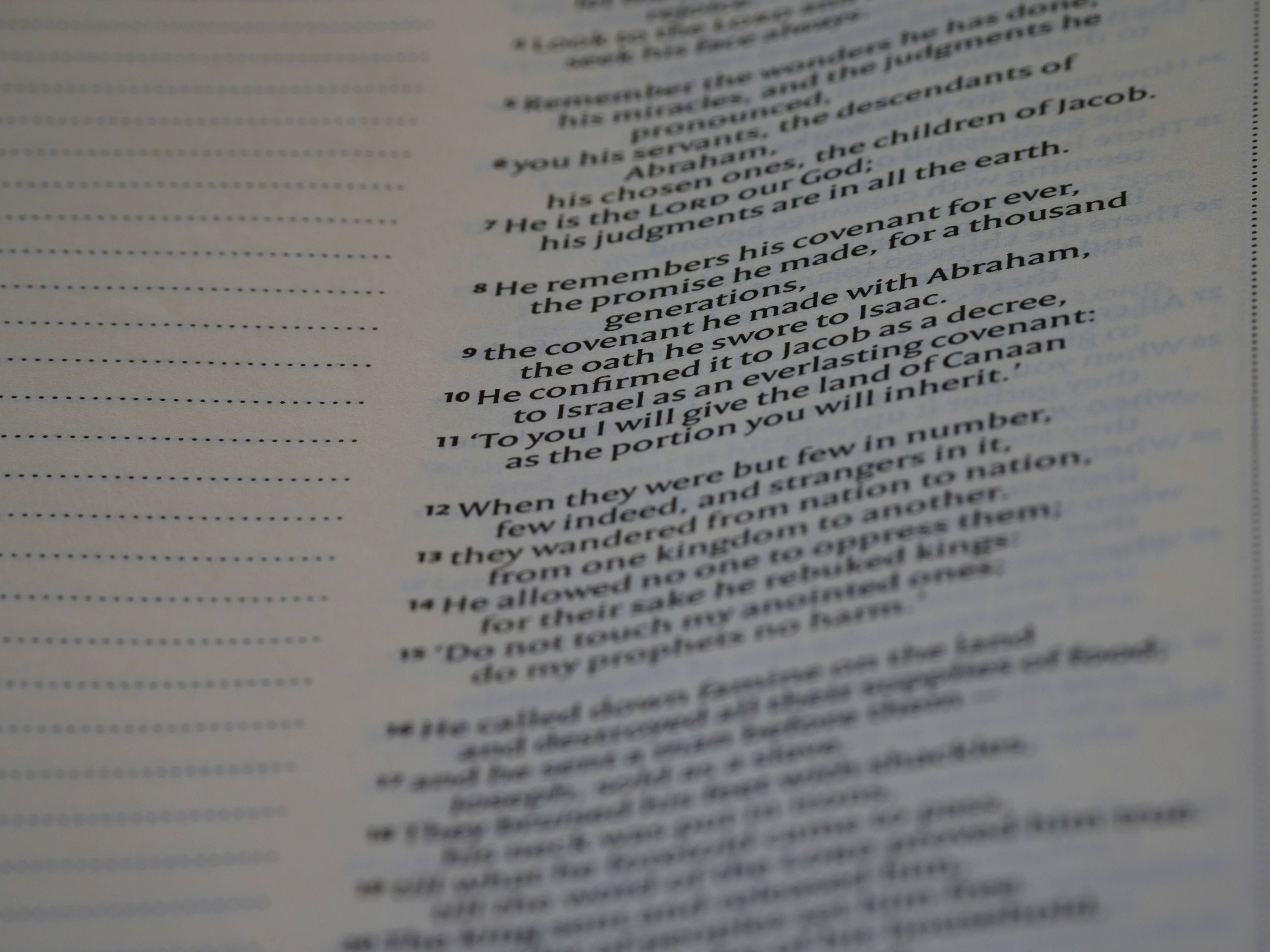 Photo by brett_jordan