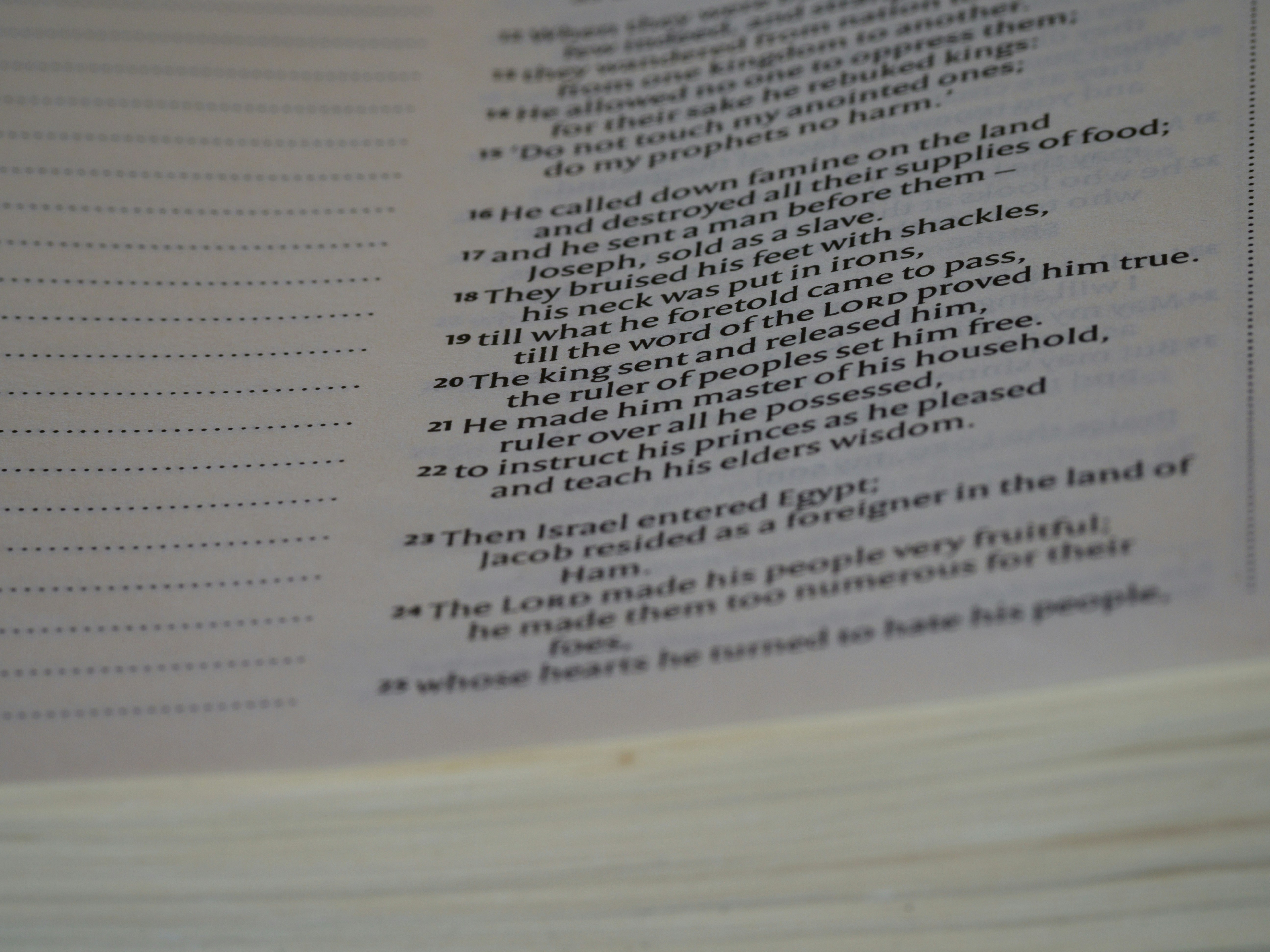 Photo by brett_jordan