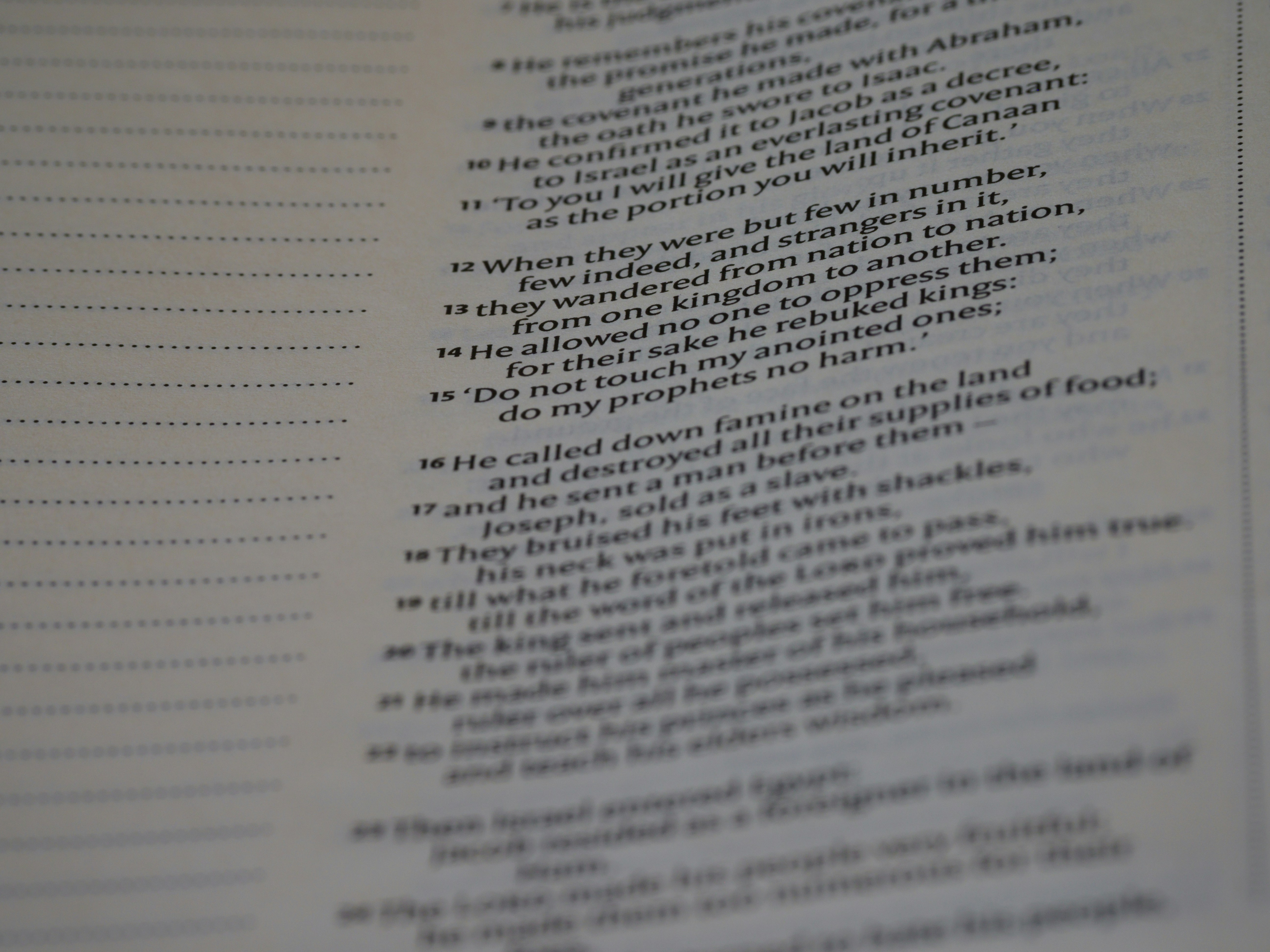 Photo by brett_jordan