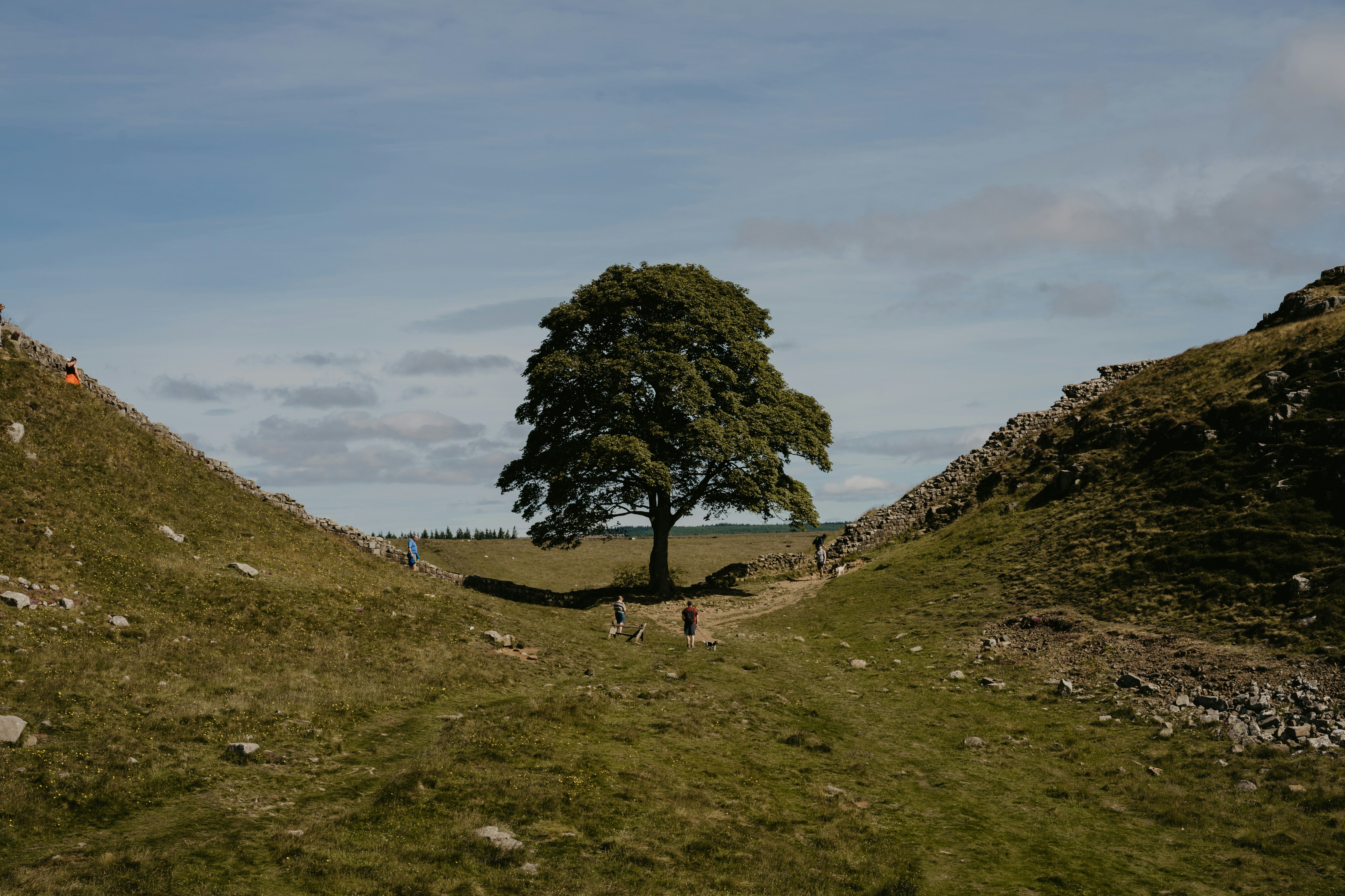 Featured image of post opendataloader-pdf