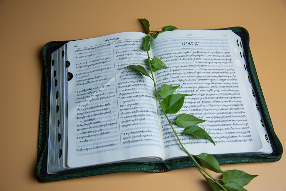 a book open with a plant on the pages