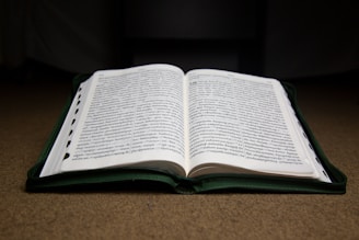 An open book rests on a brown surface, displaying two pages filled with text. The book has a dark green cover that is slightly visible around the edges. The pages are neatly aligned, indicating it's a well-kept book. The lighting creates a soft, focused highlight on the pages, drawing attention to the text.