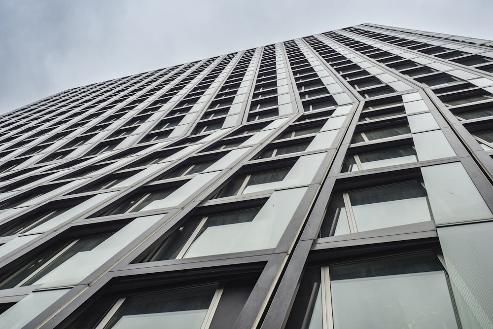 the roof of a building