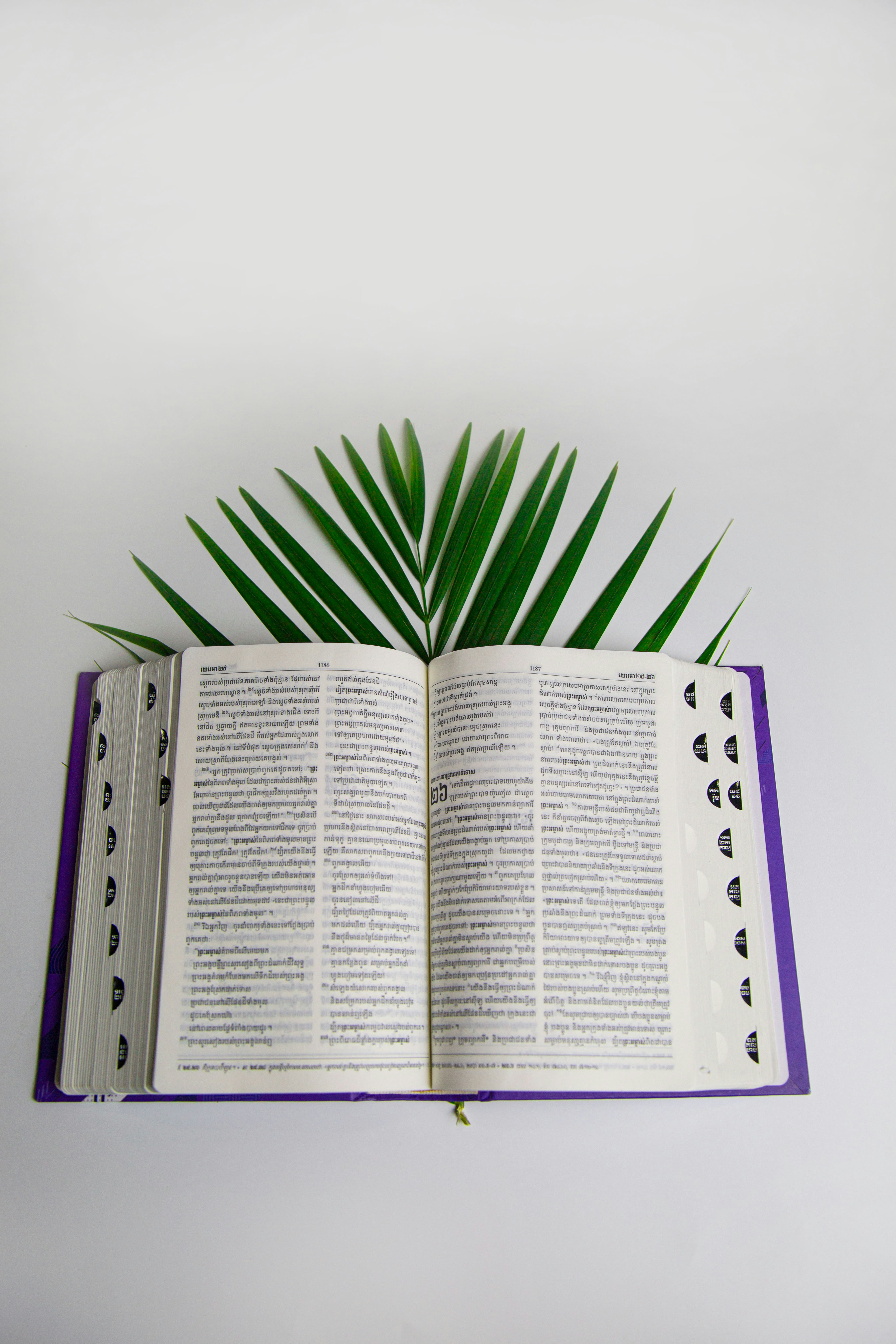 10 Naadi Astrology Palm Leaf Manuscript Facts You Must Know
