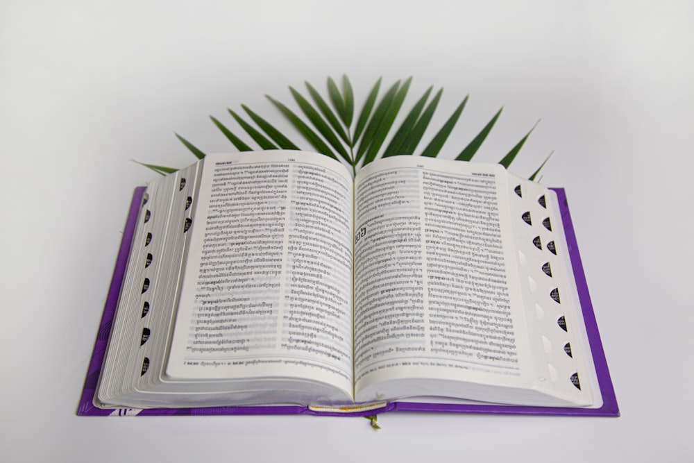 a book with a plant on top